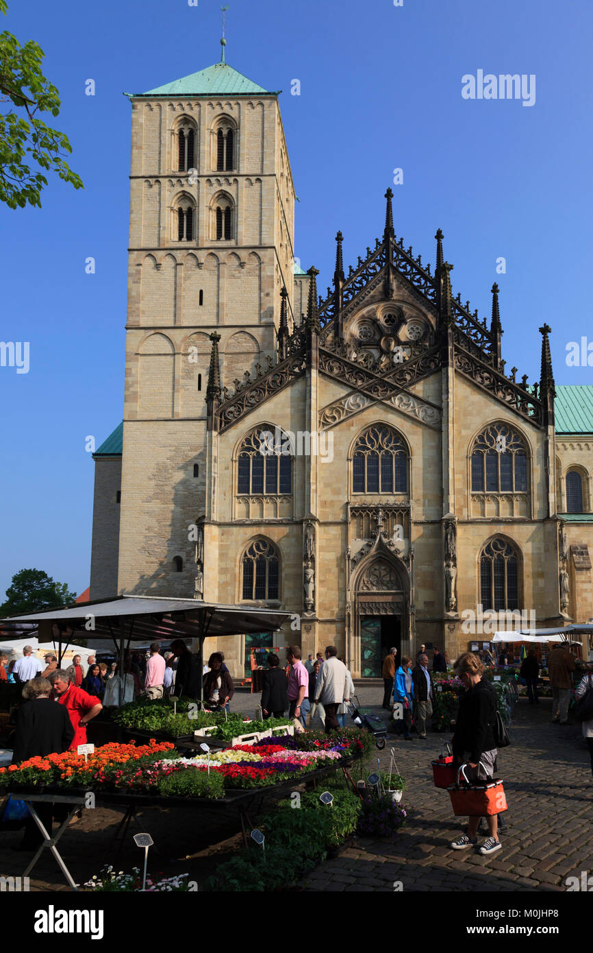 St. Paulus-Dom, Münster mit den Bauern, Münster, Westfalen, Nordrhein-Westfalen, Deutschland Stockfoto