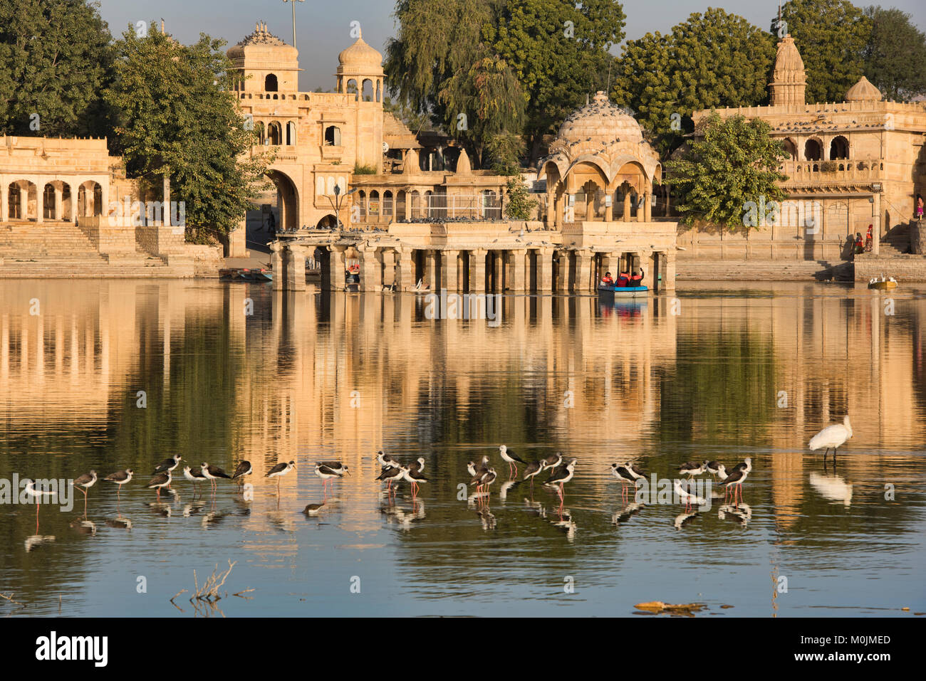 Morgen Licht bei Gadisar See, Jaisalmer, Rajasthan, Indien Stockfoto