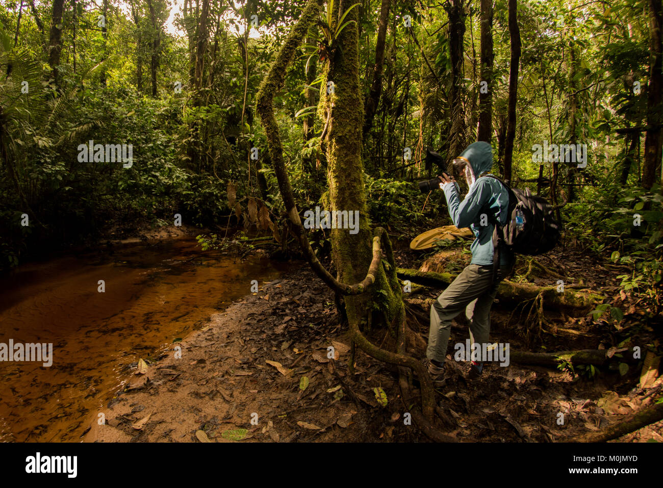 Ein naturfotograf Pausen zum Fotografieren etwas im Amazonas Regenwald. Stockfoto