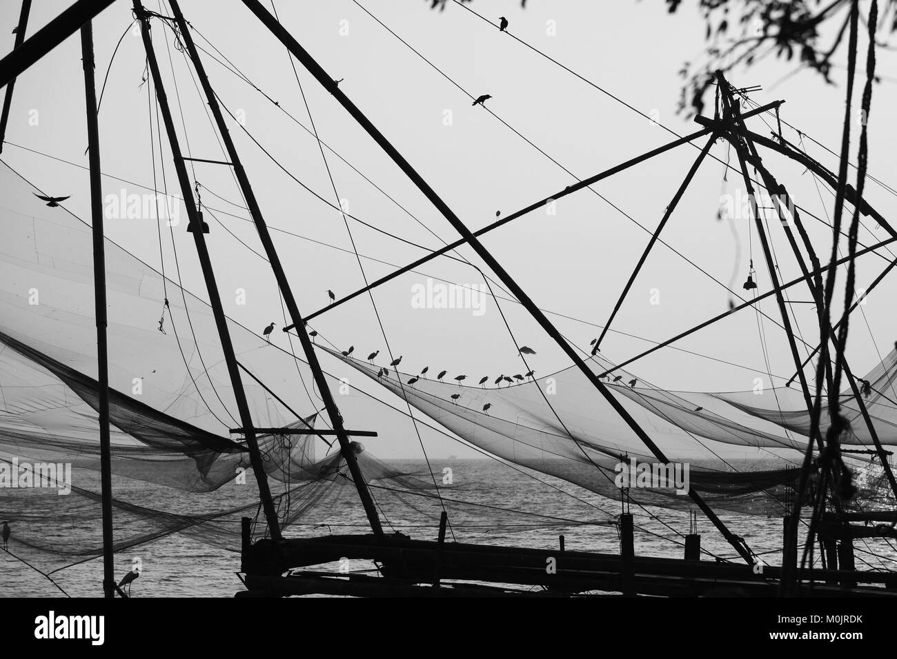 Chinesische Fischernetze, Kerala, Indien Stockfoto