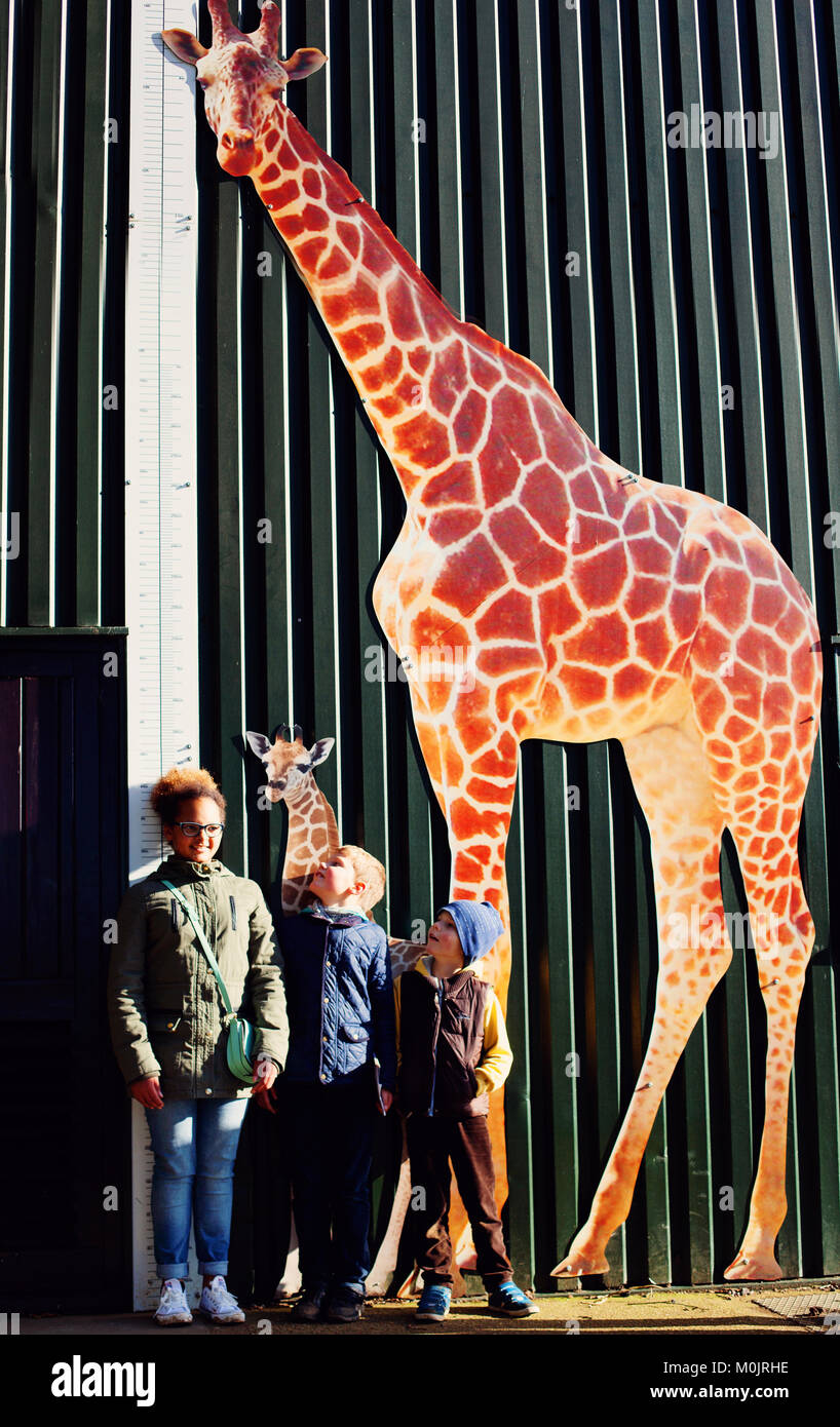 Drei Kinder vergleichen ihre Höhe zu dieser einer Giraffe steht neben einer Wand. Stockfoto