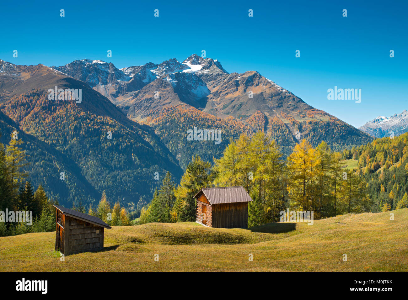 Herbstliche Berglandschaft mit Almhütten, hinter Hoher Riffler, Dawin-Alpe, Wald, Wiesen, Strengen am Arlberg, Tirol Stockfoto