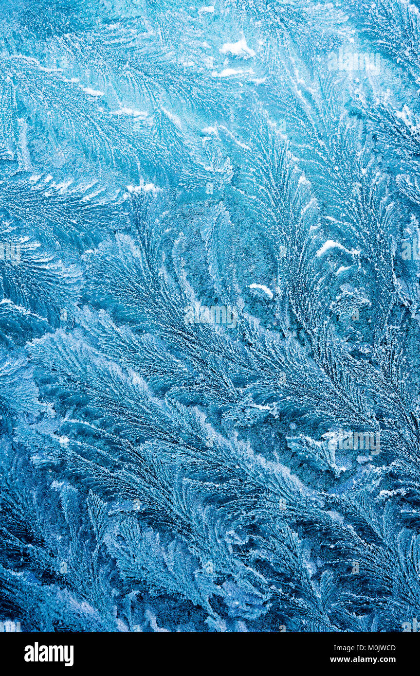 Iceflowers, gefroren. Der eiskalten Frost formen Eiskristalle in schöne einzigartige Muster Stockfoto
