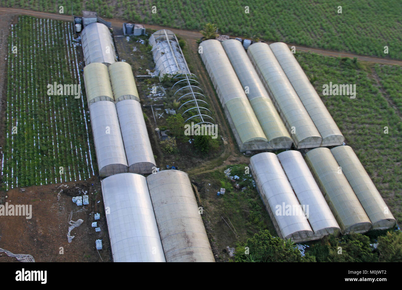 Luftaufnahme der Gewächshäuser in Zucker Felder aus einem Hubschrauber, die Republik von Mauritius. Stockfoto