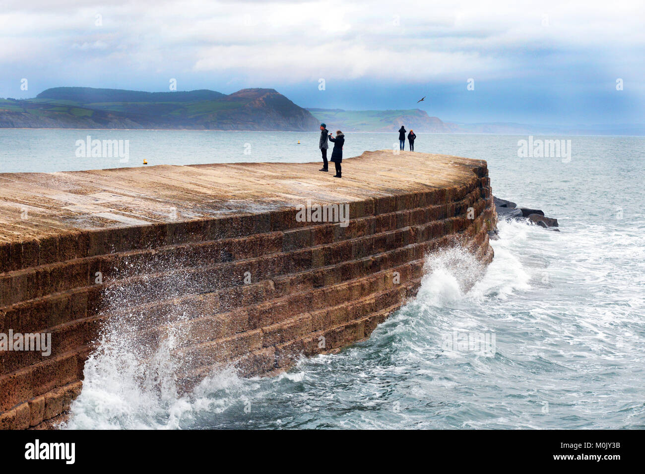 Cob in Lyme Regis, Dorset ist durch Wellen geschlagen. Stockfoto