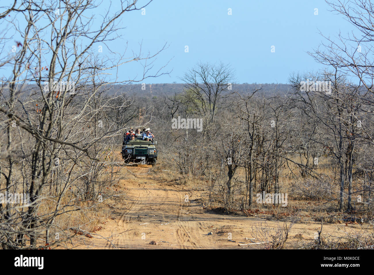 Touristen auf Safari in einem Off-Road-Fahrzeug in einem Game Reserve in Südafrika Stockfoto
