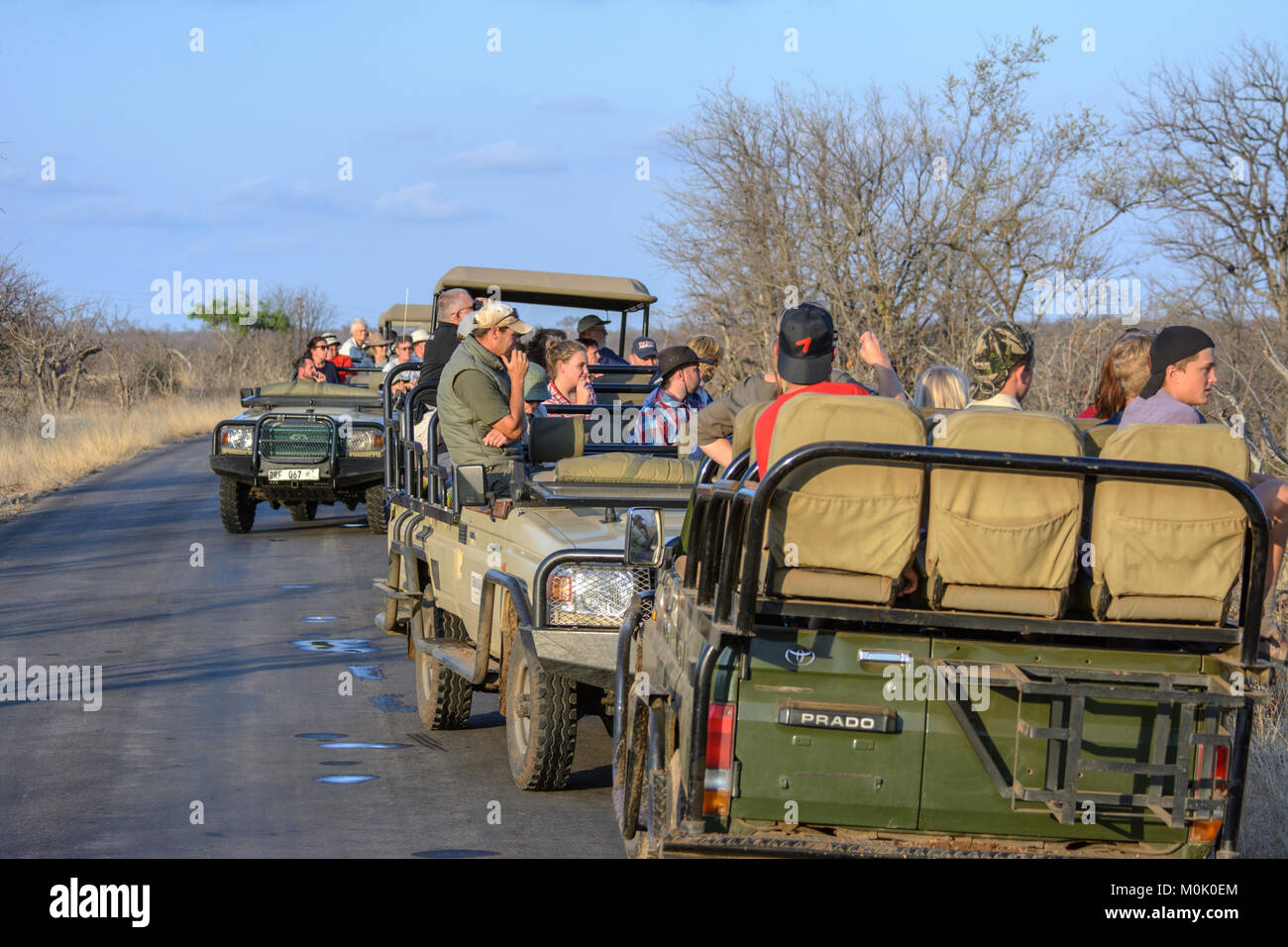 Touristen auf Safari im Geländewagen in einem Game Reserve in Südafrika Stockfoto