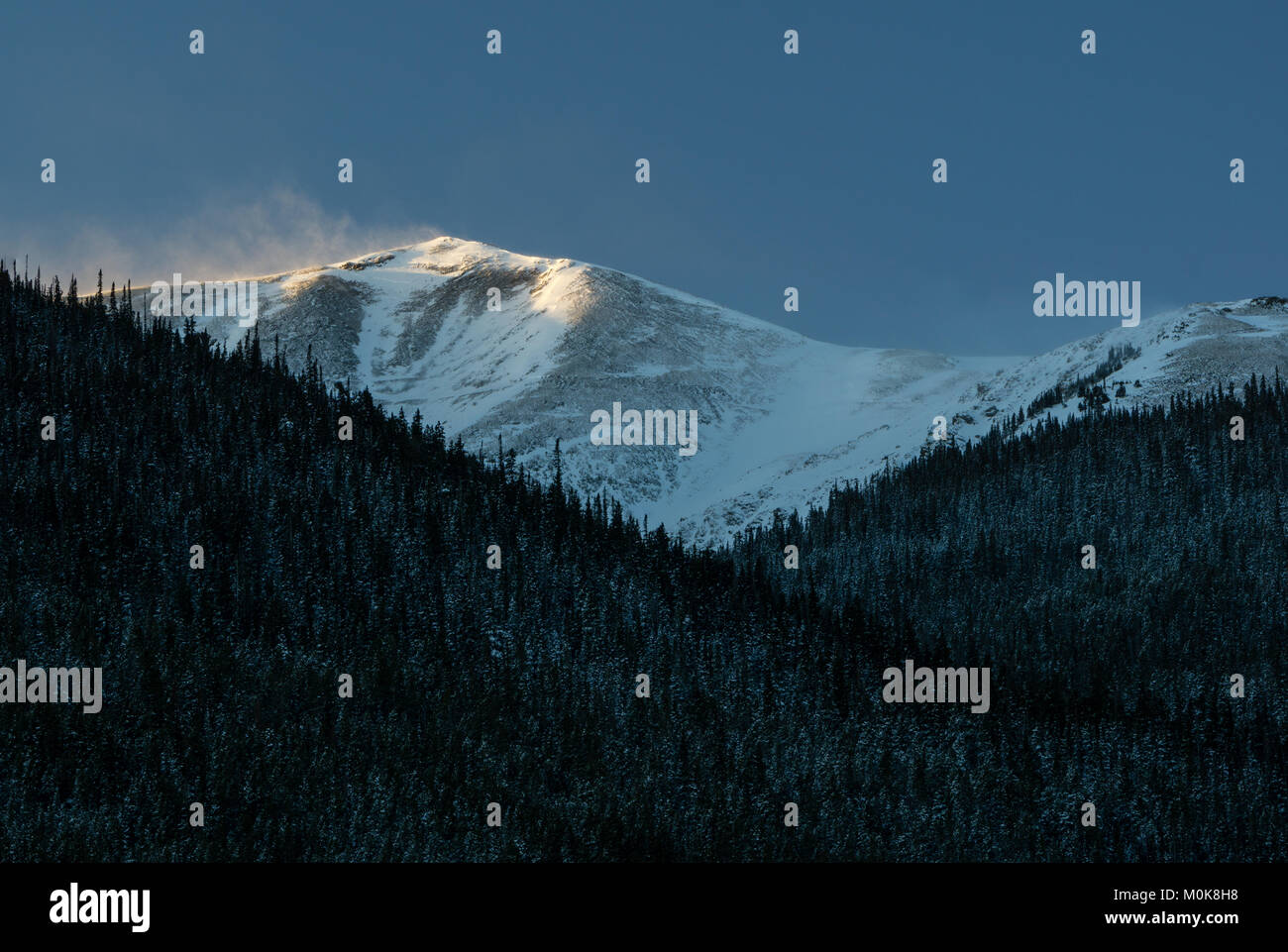 Alpen Glühen auf dem Colorado 14 er, in der Nähe von Georgetown, Colorado Stockfoto
