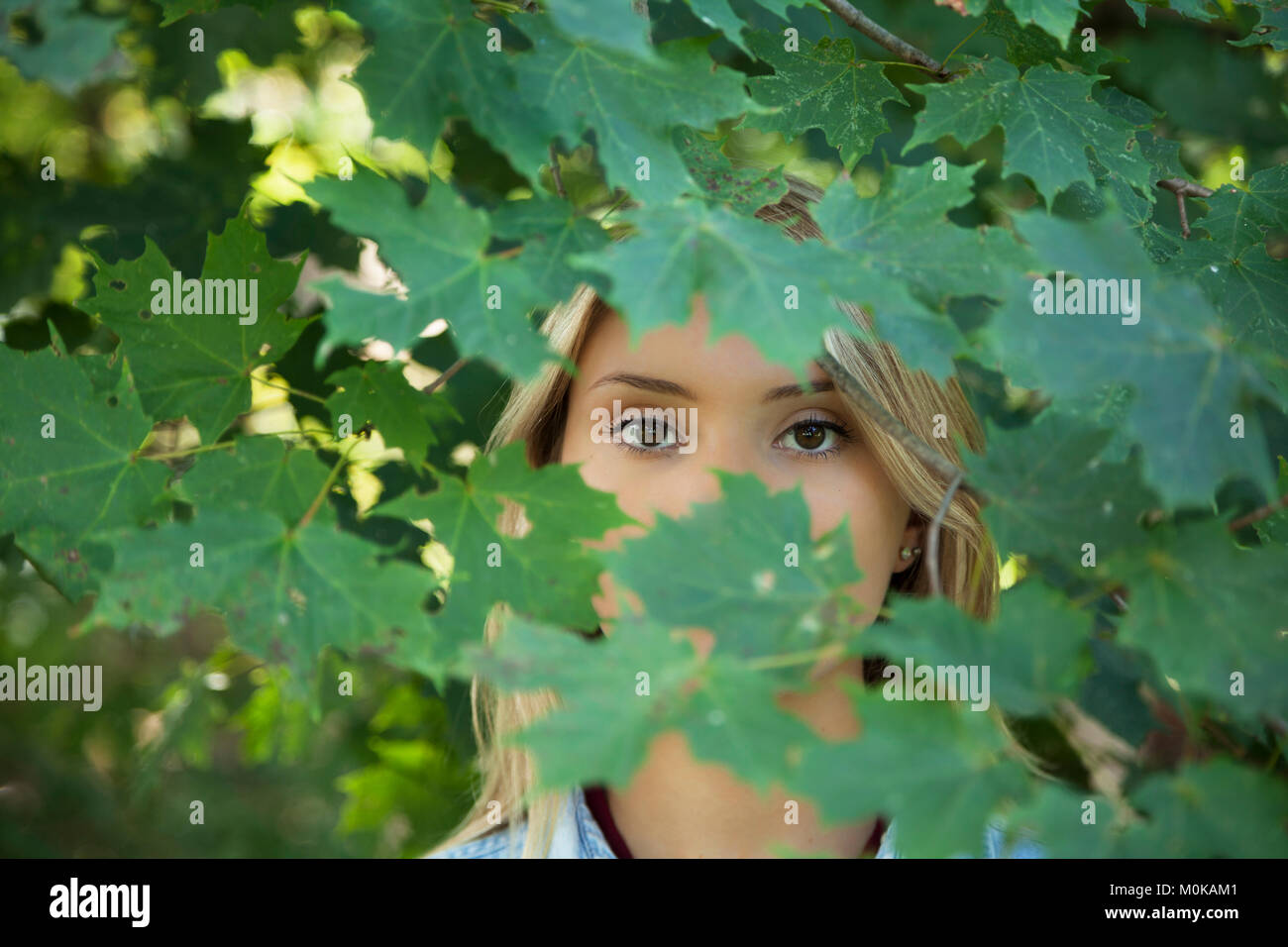 Ein junges Mädchen mit blondem Haar und braunen Augen steht im Laub eines Baumes mit ihr Gesicht verdeckt durch Blätter Stockfoto