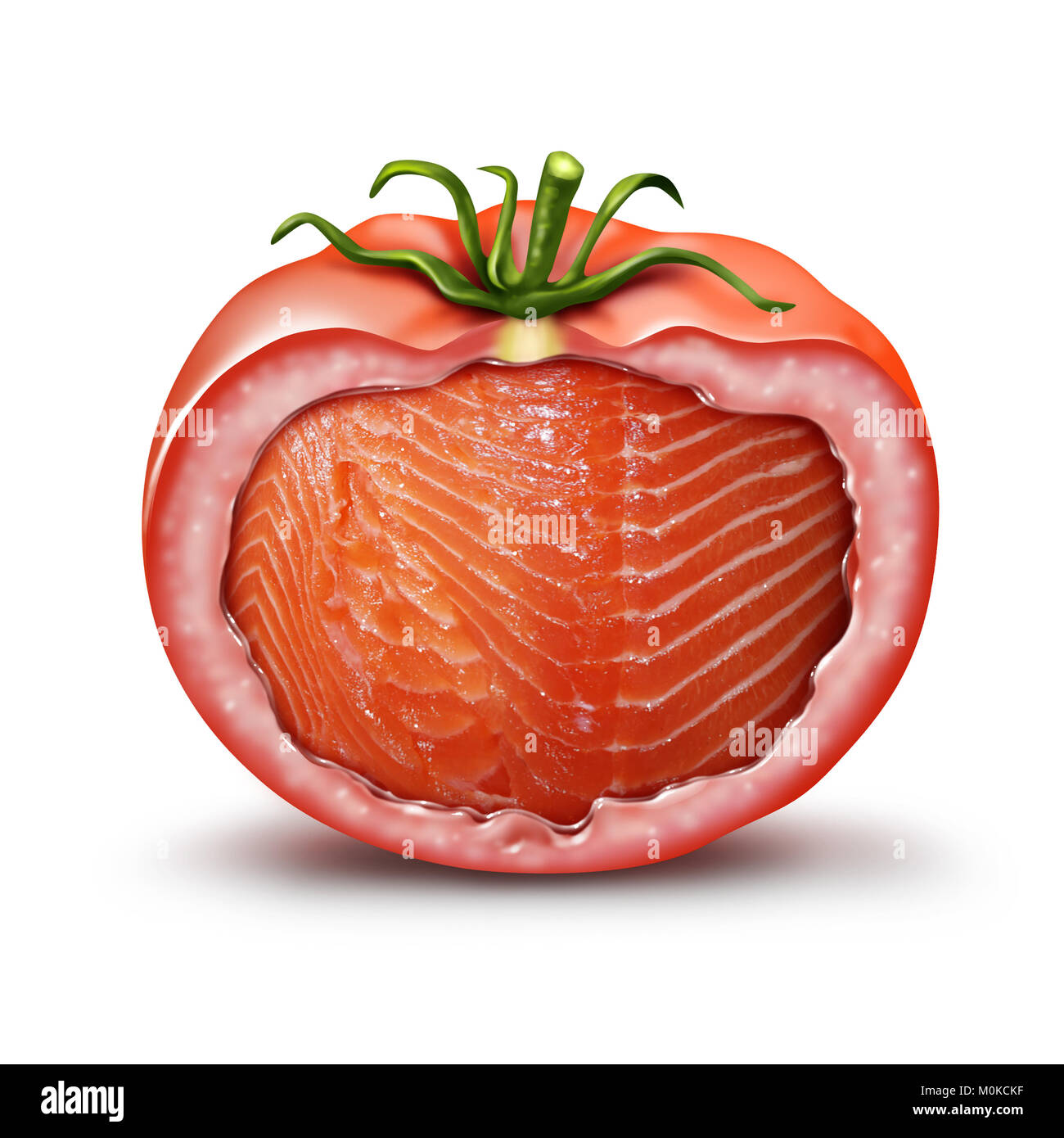 Hybrid Lebensmittel und GVO-Ernährung Konzept wie eine Tomate mit Lachs Fisch im Inneren als Landwirtschaft genetische Züchtung und Genmanipulation. Stockfoto