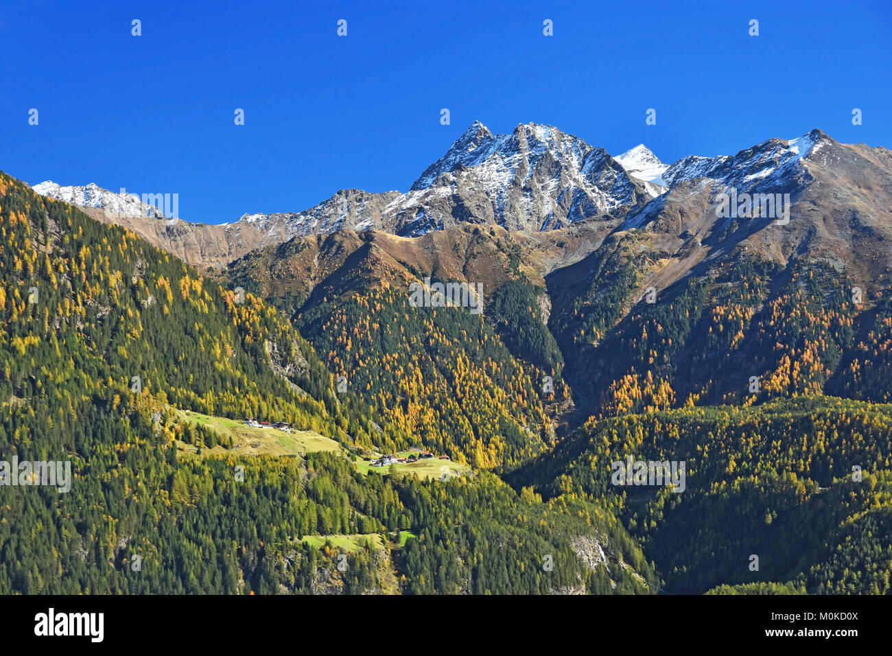 Herbst Landschaft bei einer klaren sonnigen Tag mit Strahlkogel und Breiter Grieskogel in die Stubaier Alpen. Tirol, Österreich Stockfoto