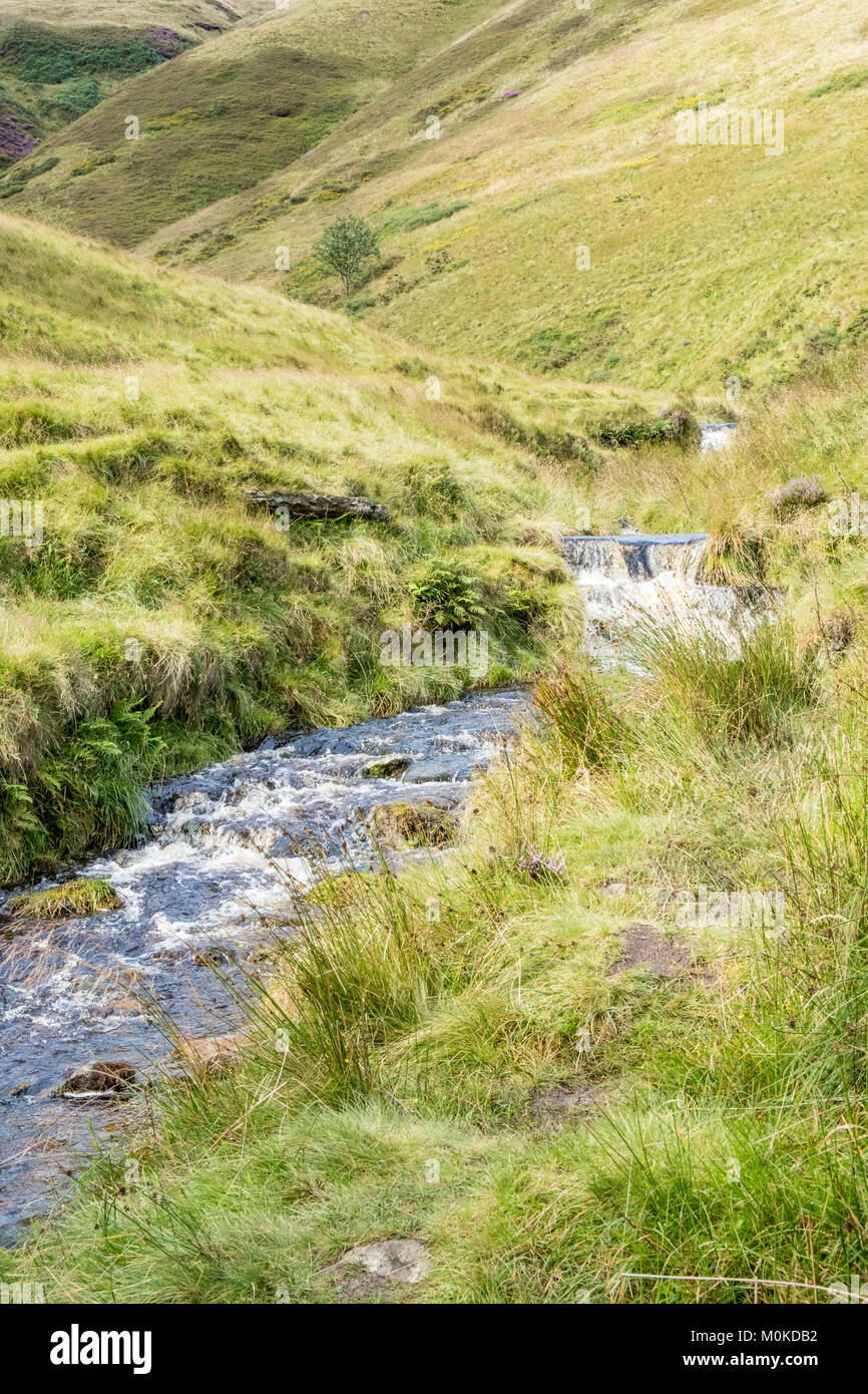 Der Fluss Noe nach unten fließenden Hügel zwischen Hügeln am Fuße des Cloughs, Kinder Scout, Derbyshire Peak District National Park, England, Großbritannien Stockfoto