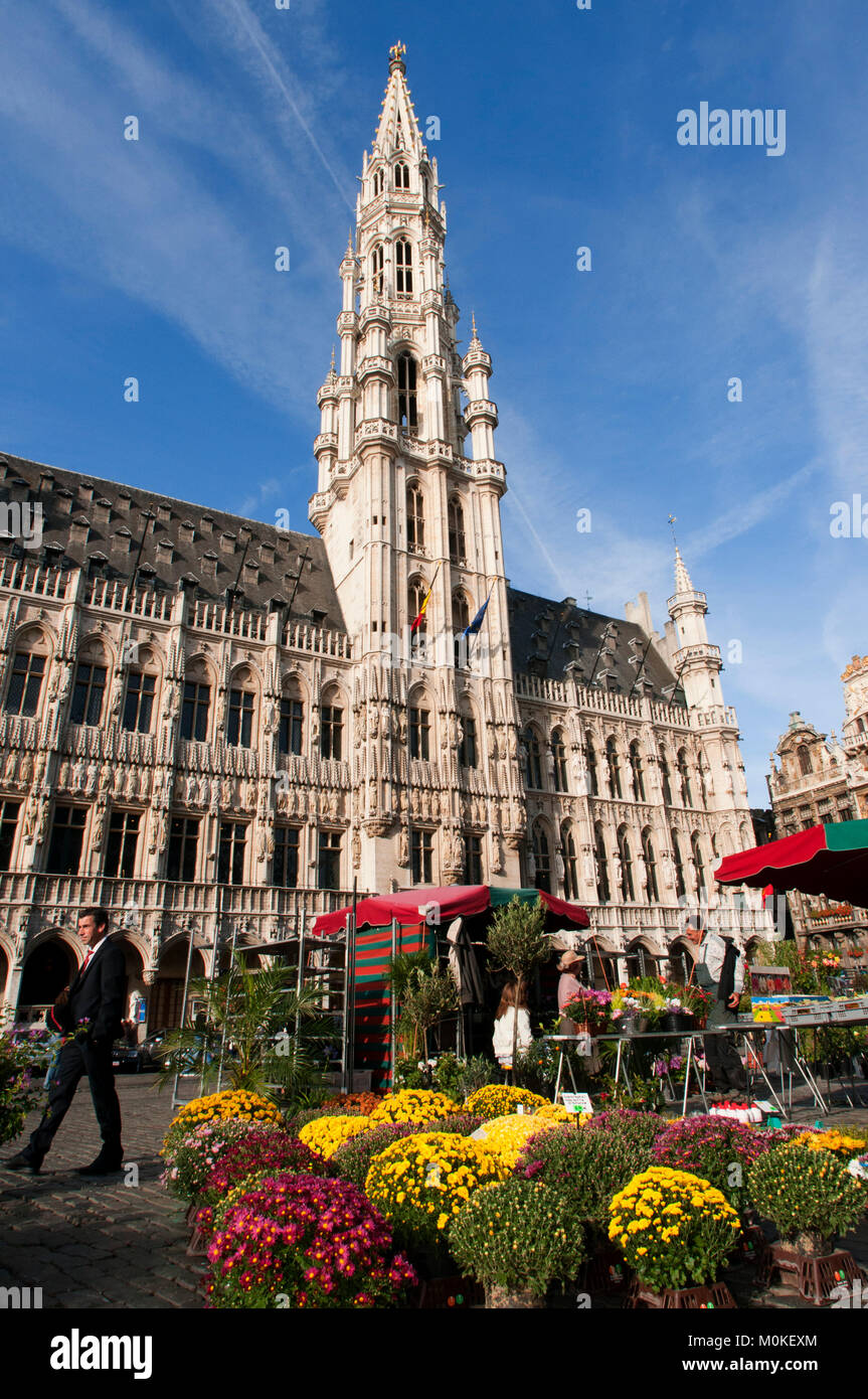 Blumenmarkt in der Brüsseler Rathaus (Hotel de Ville oder Hôtel de Ville de Bruxelles), Grote Markt (Grand Place), Brüssel, Belgien Stockfoto