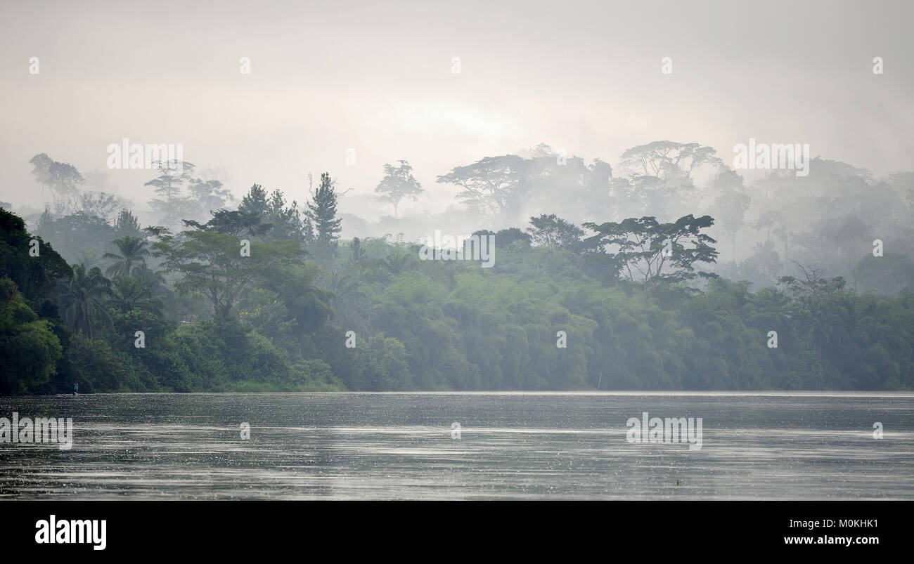 Sangha Fluss. Morgennebel auf dem Afrikanischen Fluss Sangha. Kongo. Afrika Stockfoto