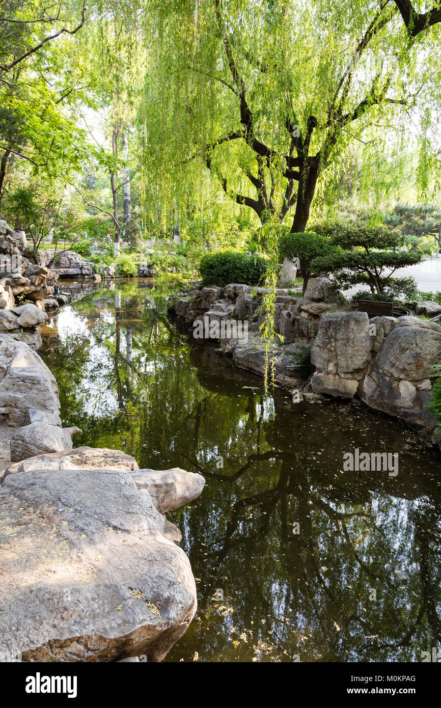 Der Park von: Baotu Quan, auch als die Besten der Welt im Herzen der Stadt Jinan, Shandong, China Stockfoto