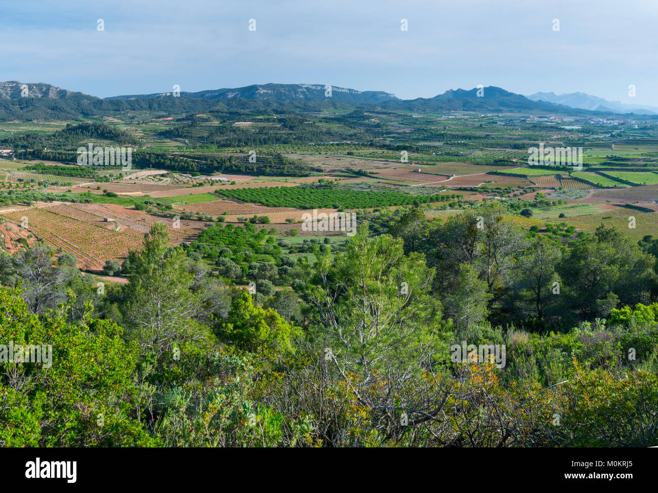 Spanischer Bürgerkrieg testimonial Dorf, 402 Peak, Corbera d'Ebre Dorf, Terres de l'Ebre, Tarragona, Katalonien, Spanien Stockfoto