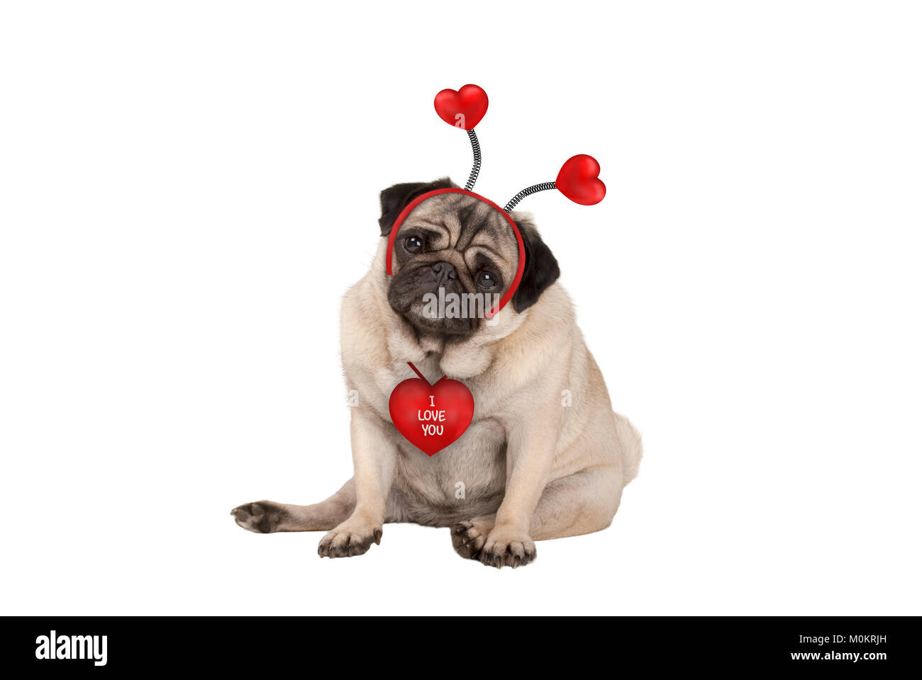 Niedlich Valentine's Tag mops Welpe Hund, hinsetzen, das Tragen von Herzen Diadem, auf weißem Hintergrund Stockfoto