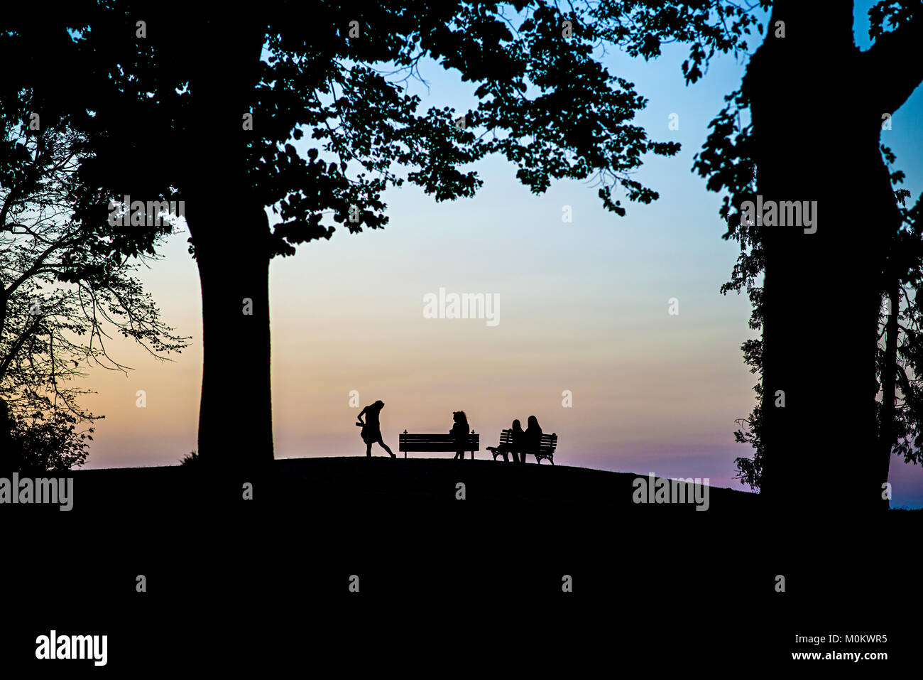 Silhouette von vier Frauen auf Bänken in einem Park in der Dämmerung Stockfoto