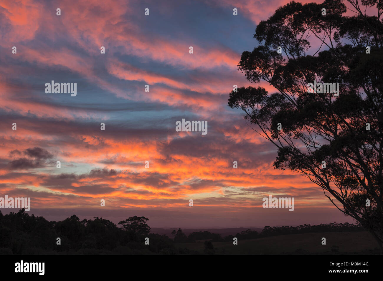 Ein herrlicher Sonnenuntergang leuchtet die Landschaft über McLeod Road, in der Nähe von Dänemark, Western Australia Stockfoto