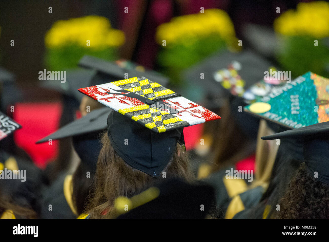 Rückansicht der Hochschulabsolventen sitzen und tragen dekoriert Graduation Caps, College Park, Maryland Stockfoto