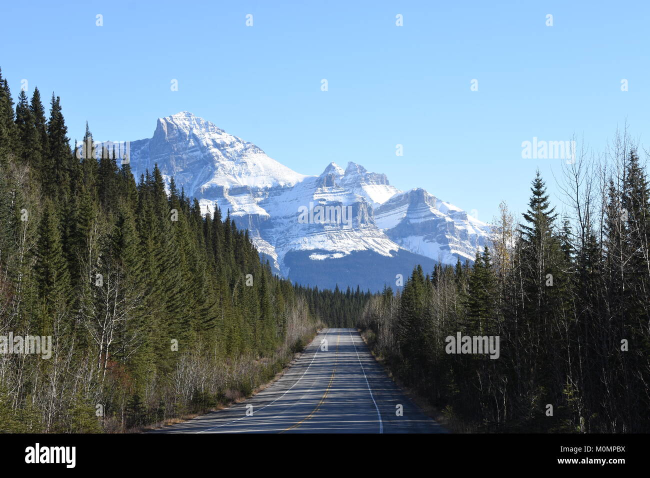 Icefield Parkway Stockfoto