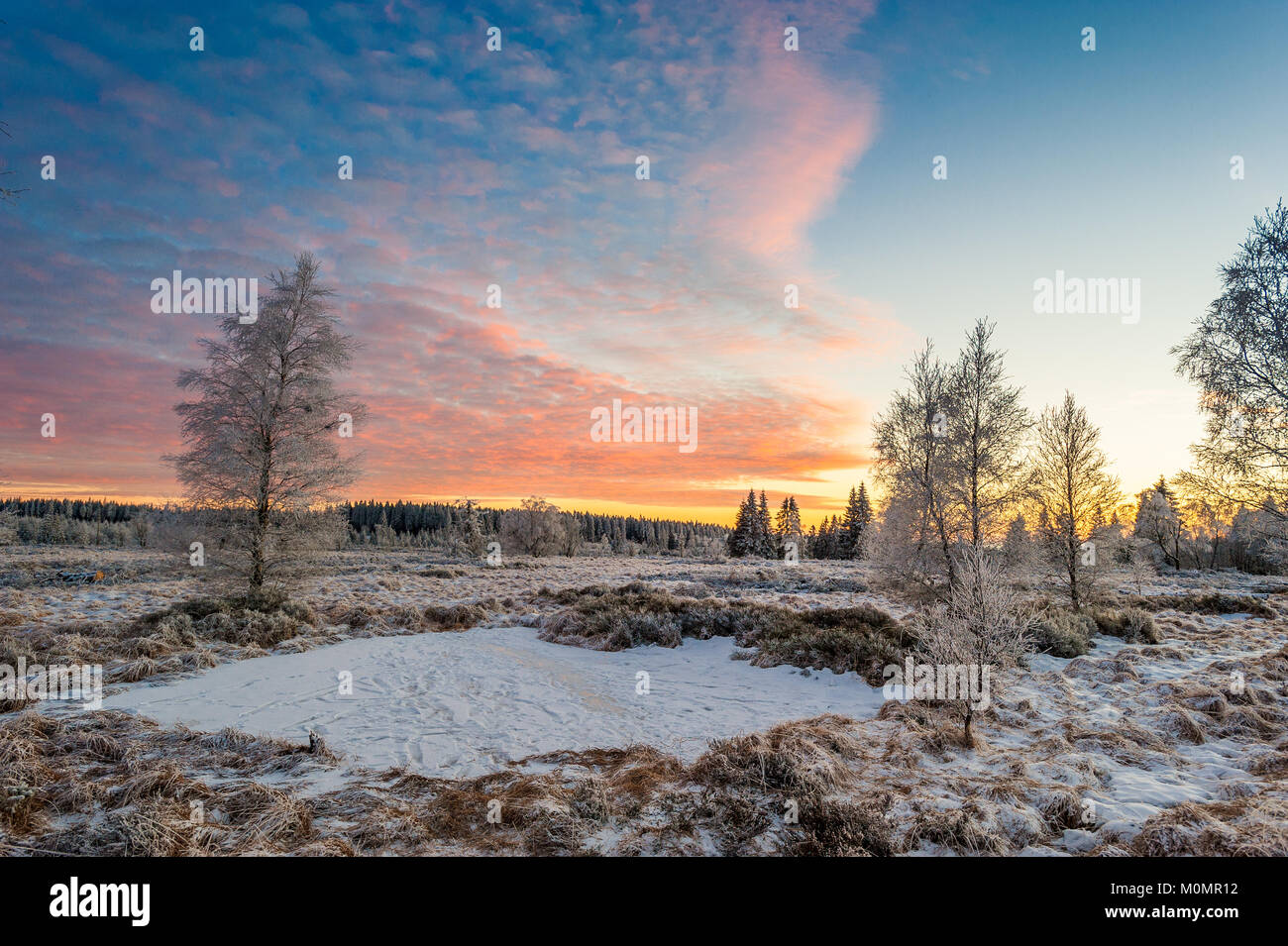 Hohe Venn Winterlandschaft Stockfoto