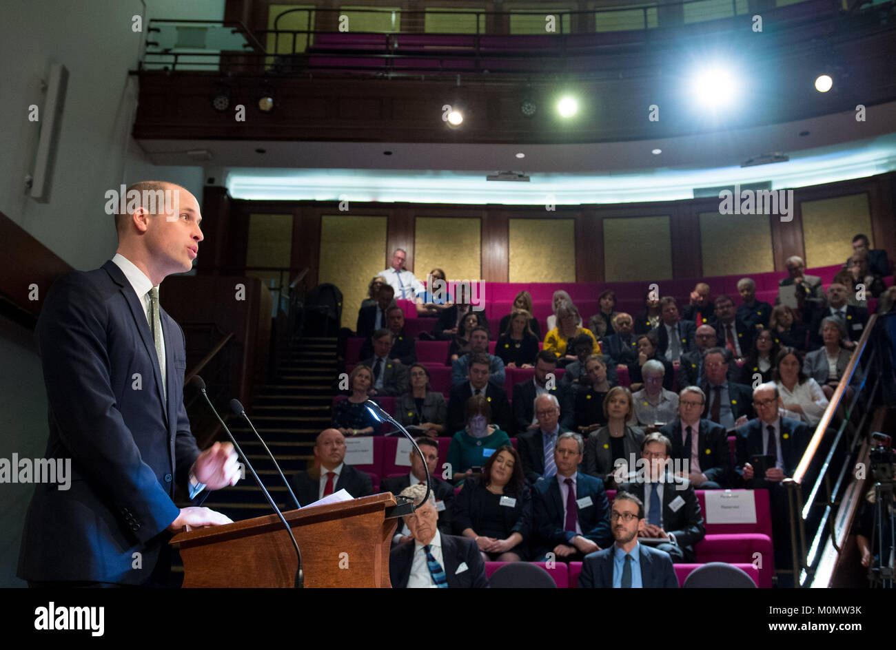 Der Herzog von Cambridge liefert seine Rede auf der Charity Commission jährlichen öffentlichen Sitzung an der Royal Institution in London. Stockfoto