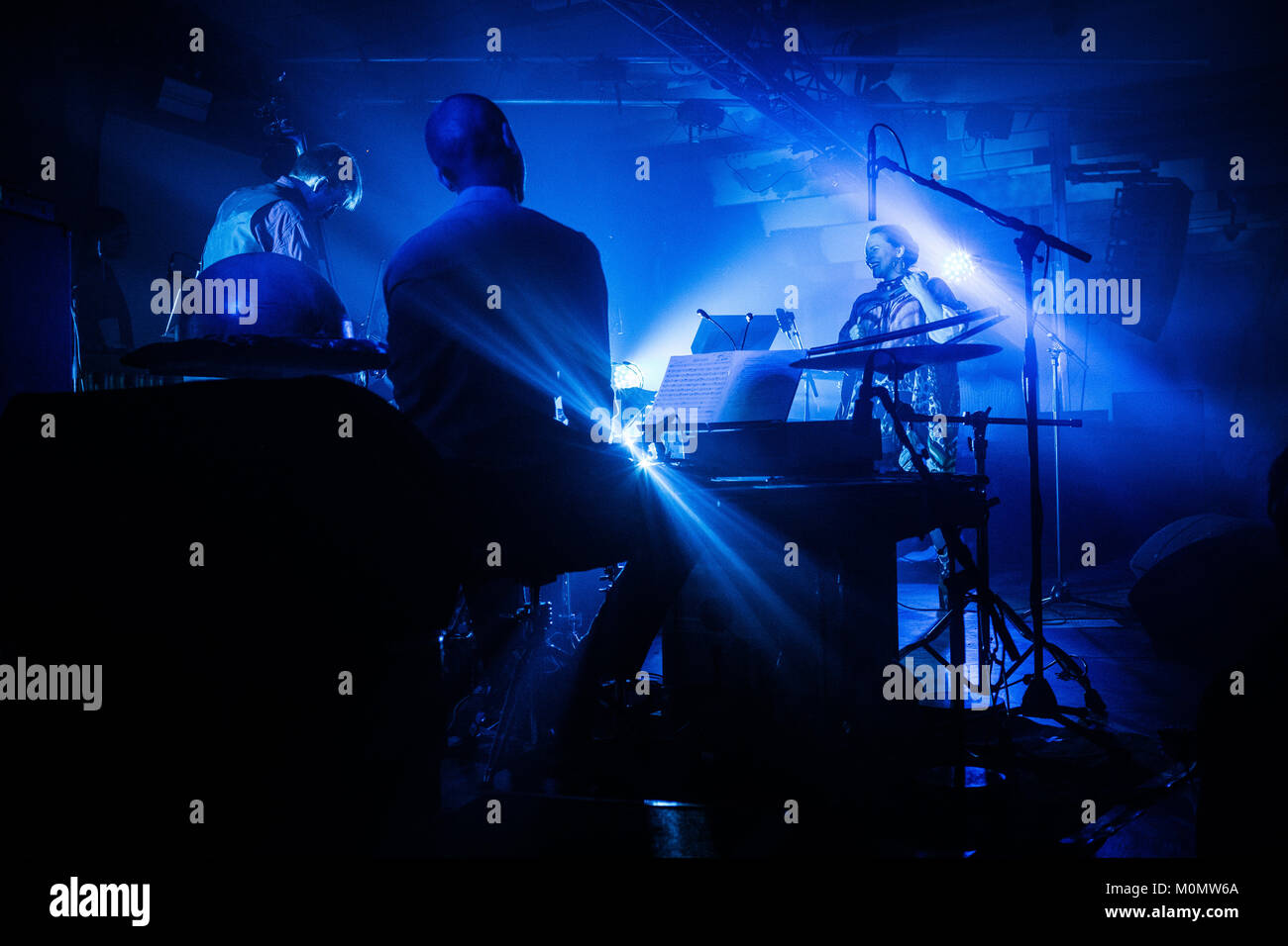 Emiliana Torrini & Kolorist ein Live Konzert im Stødpudelageret in Kopenhagen durchführen. Dänemark, 24.02.2017. Stockfoto