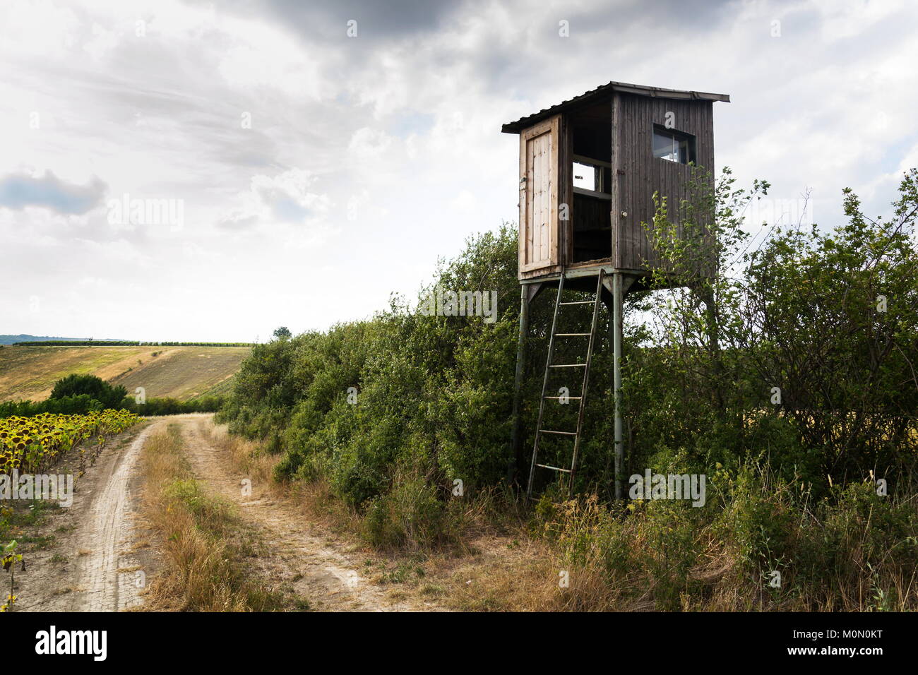 Holz- jäger Hochsitz auf Feld mit bewölktem Himmel verbergen Stockfoto