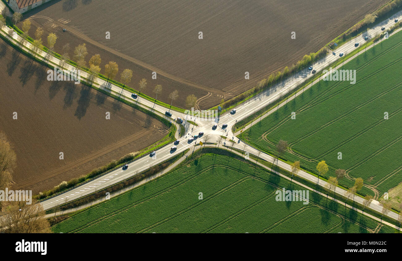Kreuz, diagonal, Kreuzung, die Straße Kreuzung Hörste, Hellweg, Hörster Straße, Freidrich-Bayer-Straße, Luftaufnahme von Lage, Detmold, Norden Rhine-We Stockfoto