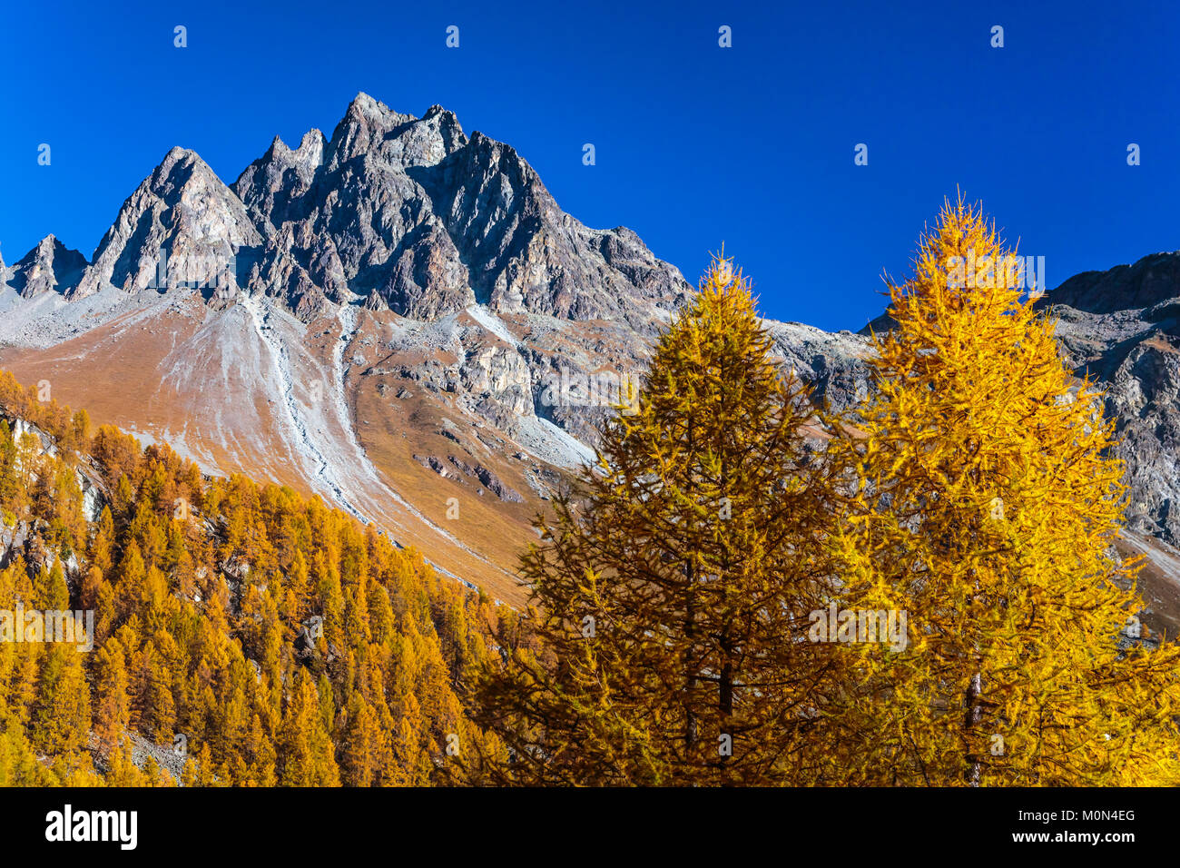 Engadin valley -Fotos und -Bildmaterial in hoher Auflösung – Alamy