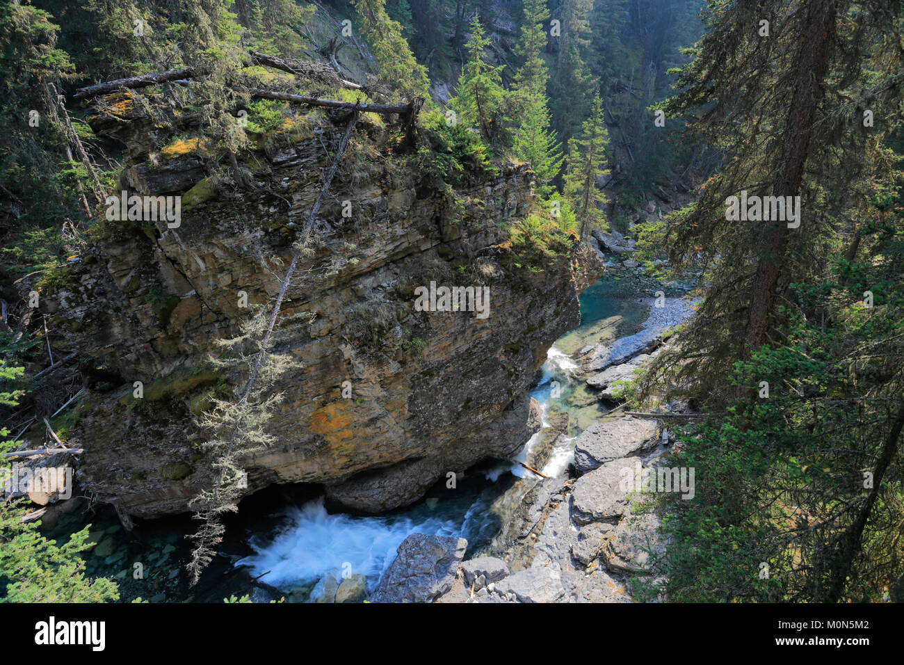 Johnston Creek, Johnston Canyon, Rocky Mountains, Banff National Park, Alberta, Kanada. Stockfoto