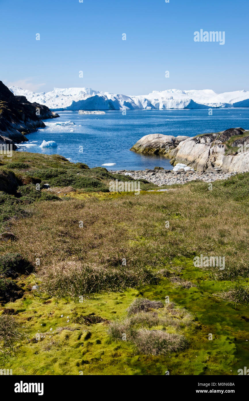 Arktische Tundra Lebensraum in der Nähe von Ilulissat Eisfjord mit offshore Eisberge in der Diskobucht. Sermermiut Ilulissat in Grönland. Weltkulturerbe der UNESCO Stockfoto