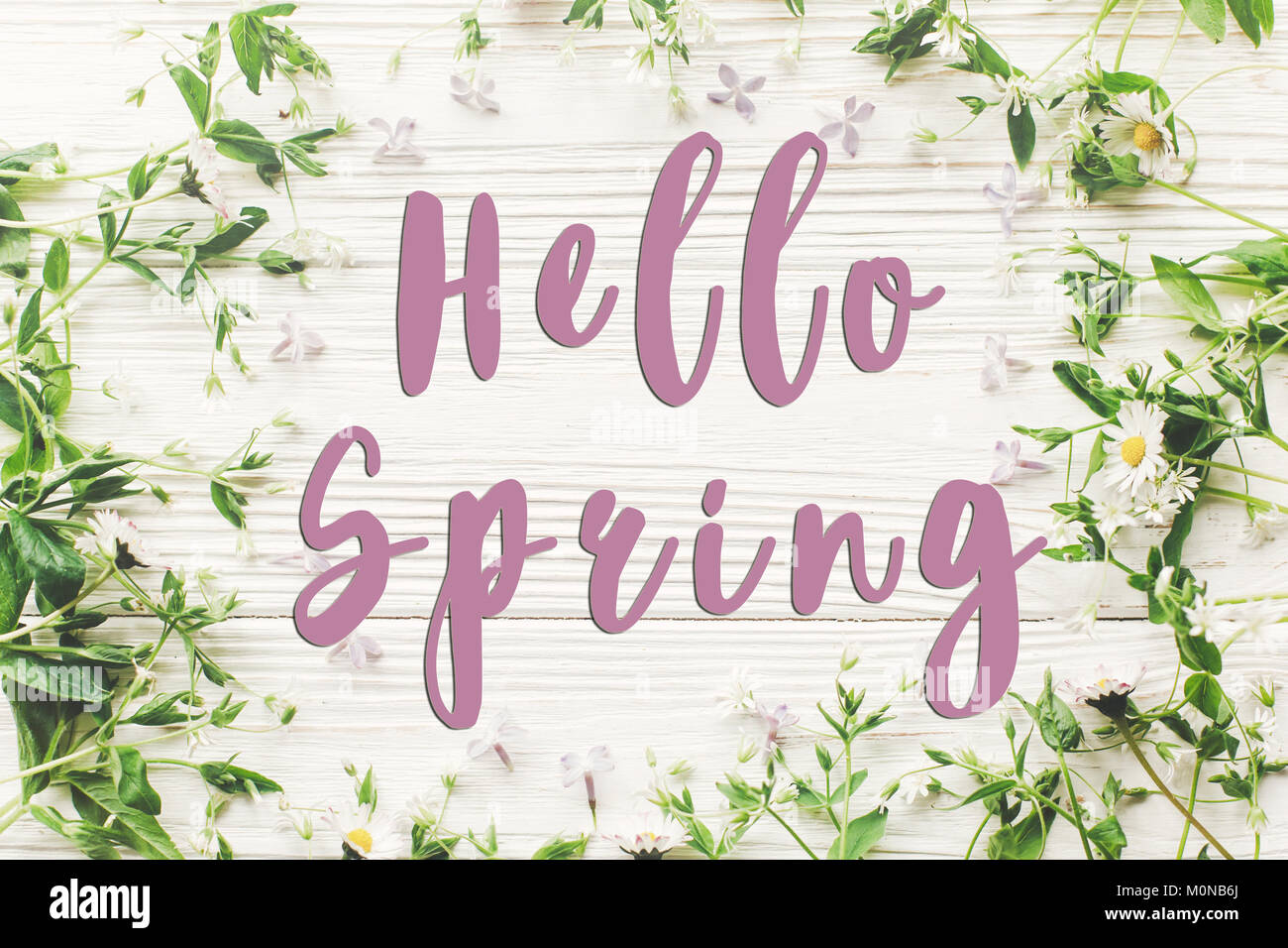 Hallo Frühling text Zeichen flach. schönen violetten Blüten und Daisy Rahmen auf weiße Holz- Hintergrund der Ansicht von oben Platz für Text. Grußkarte. e Stockfoto