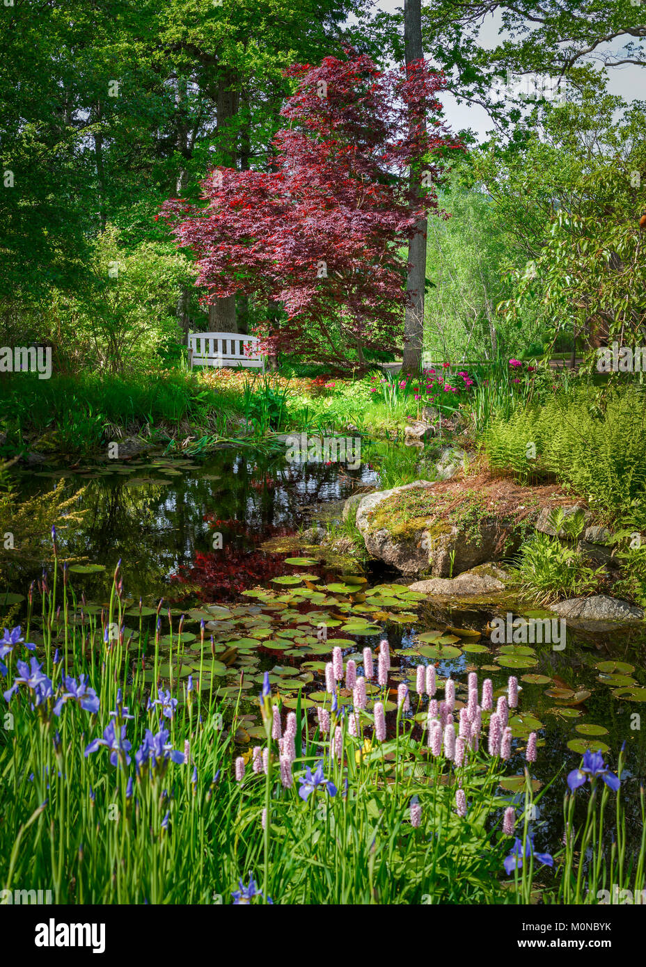 Teich und bank Fotos und Bildmaterial in hoher Auflösung Alamy