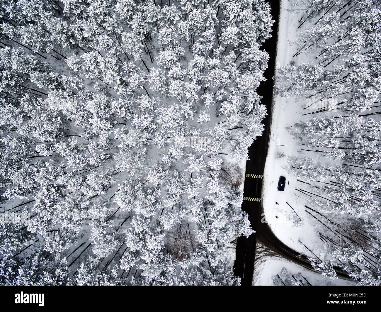 Antenne Blick von oben auf die Straße im Winter Wald Stockfoto