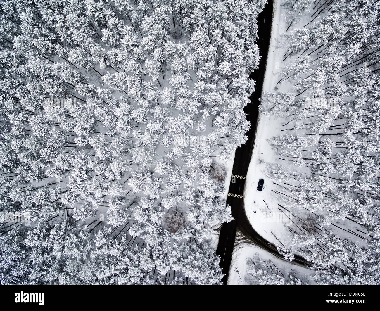Antenne oben flach auf der Straße im Winter Wald Stockfoto