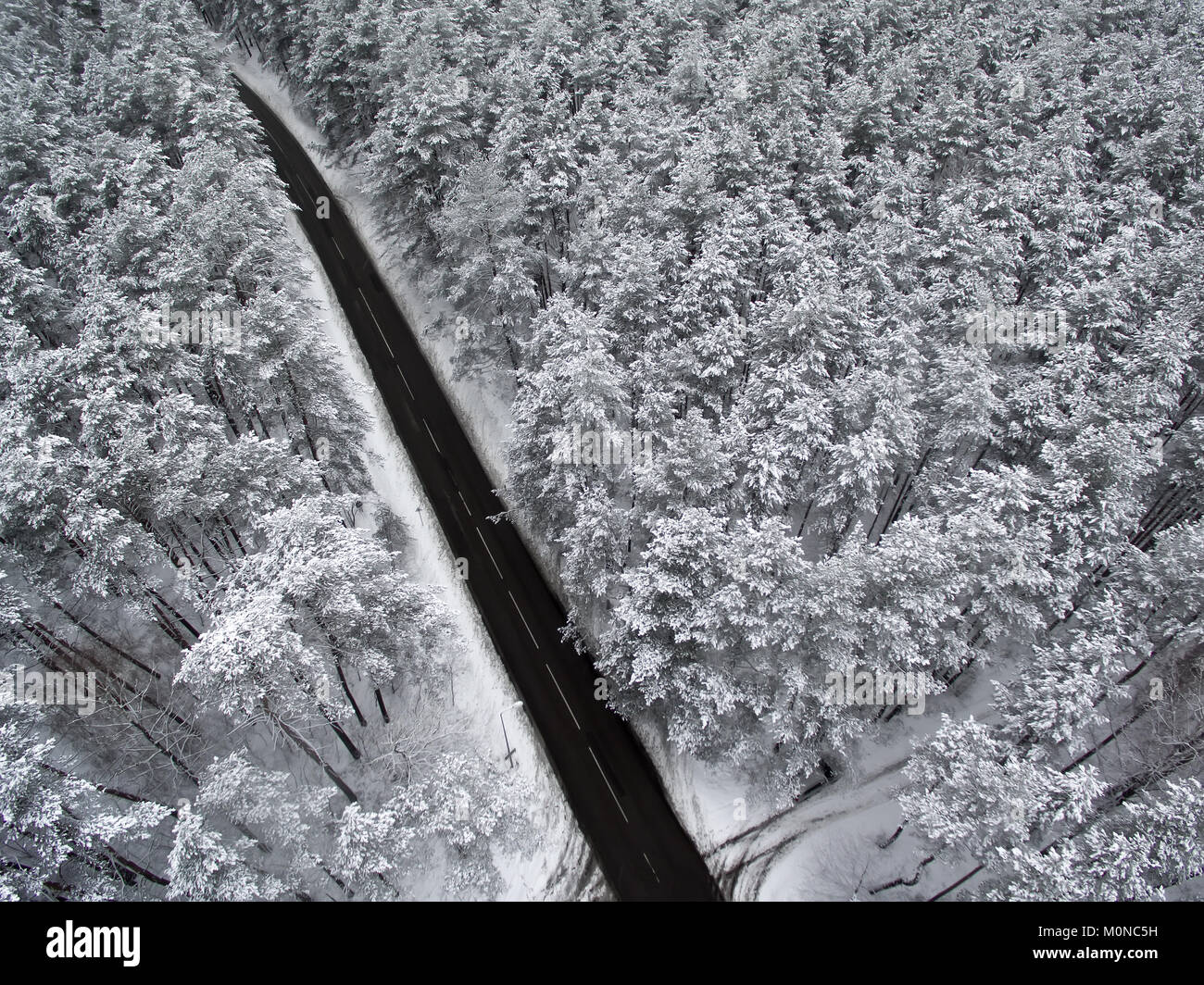 Antenne Blick von oben auf die Straße im Winter Wald Stockfoto