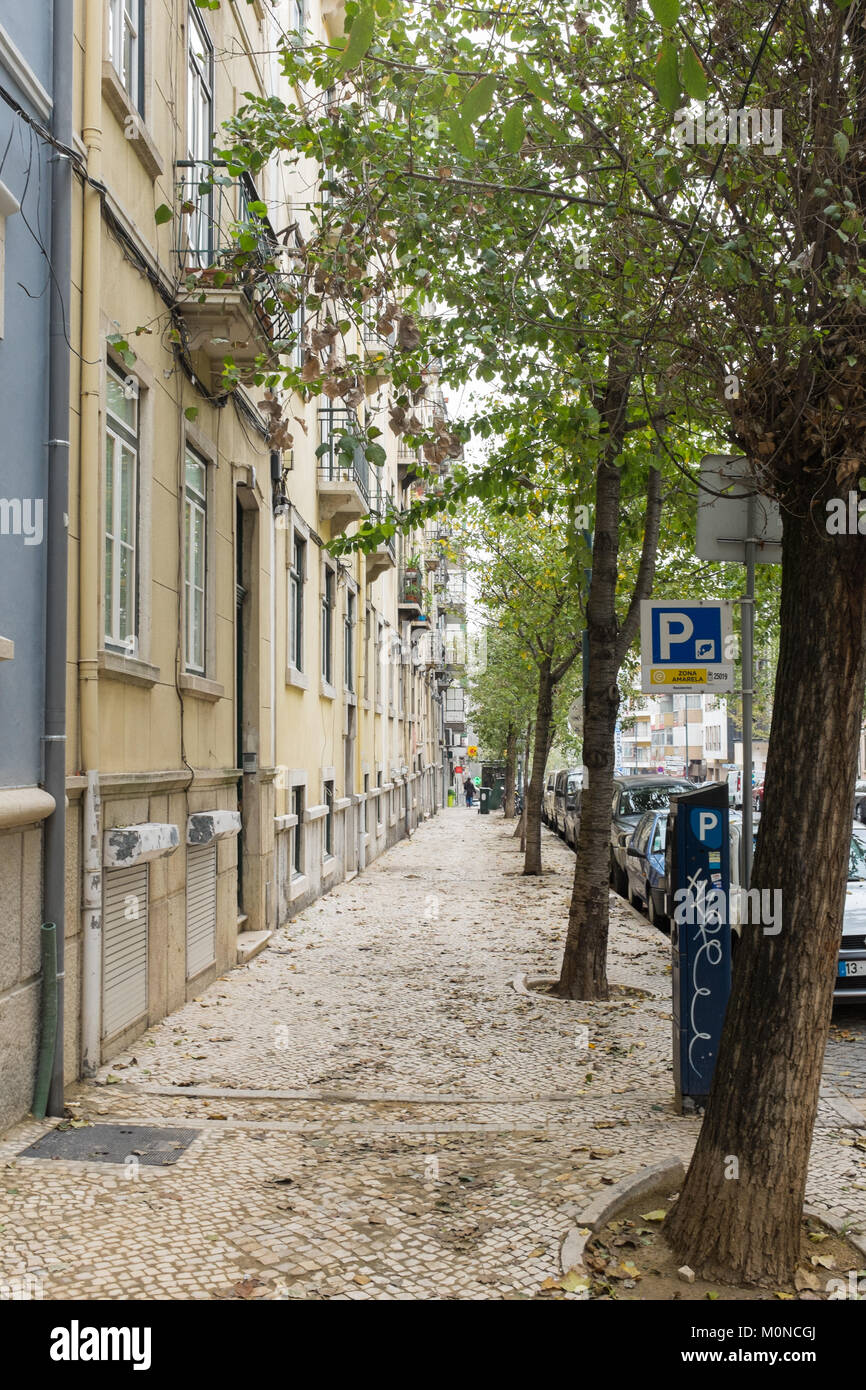 Schmale, von Bäumen gesäumten Straße mit Kopfsteinpflaster Fliesen in Lissabon, Portugal, Wanderweg Stockfoto