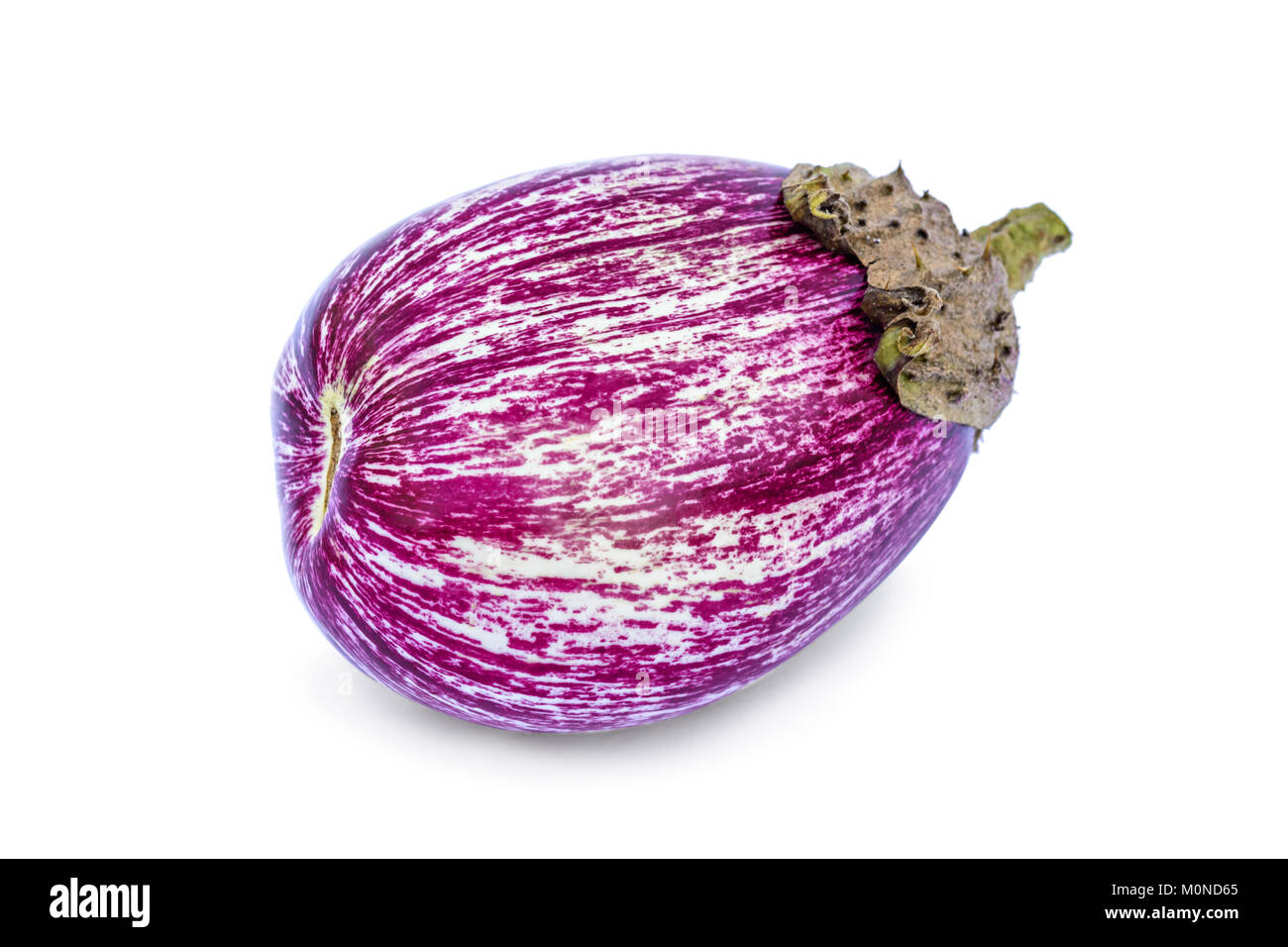 Violett aubergine Nahaufnahme auf dem weißen Hintergrund Stockfoto
