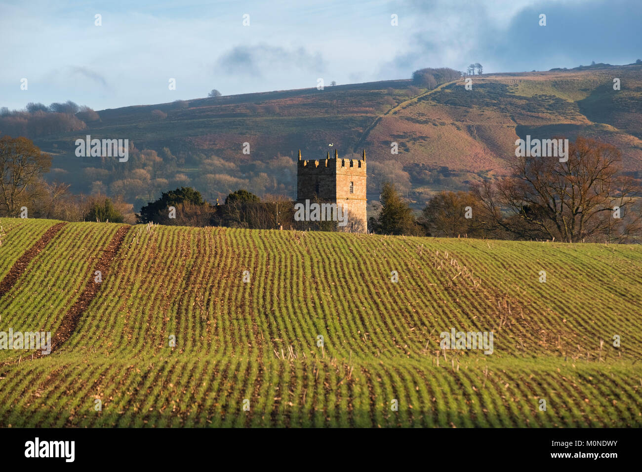 Holdgate Kirche unter Braun Clee in Shropshire, England, Großbritannien Stockfoto