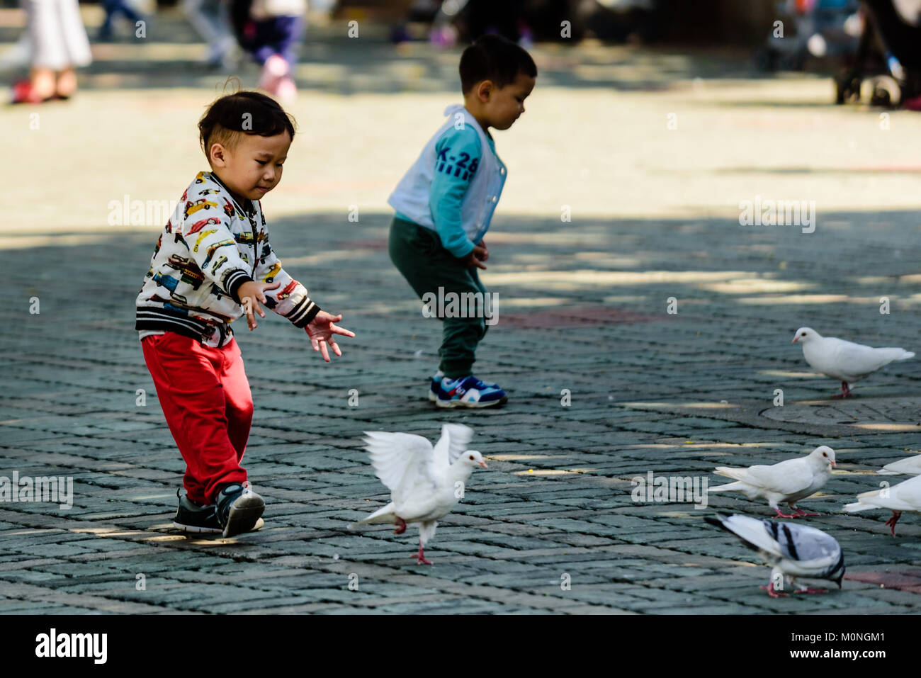 Shanghai, China. Junge Kinder chase Tauben in Shanghai People's Square, Shanghai, China. Credit: Benjamin Ginsberg Stockfoto