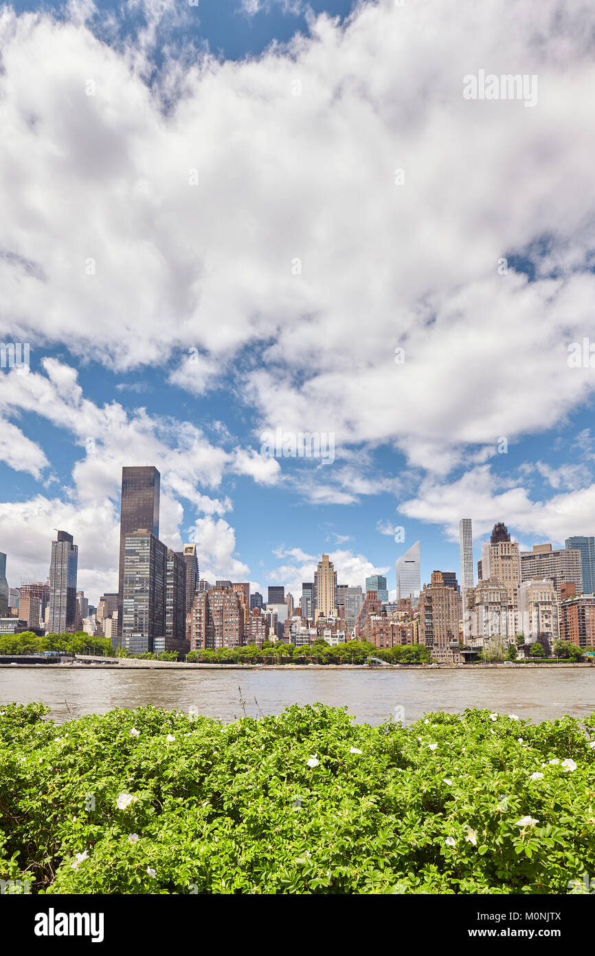 New York City Skyline von der Roosevelt Island, USA gesehen. Stockfoto