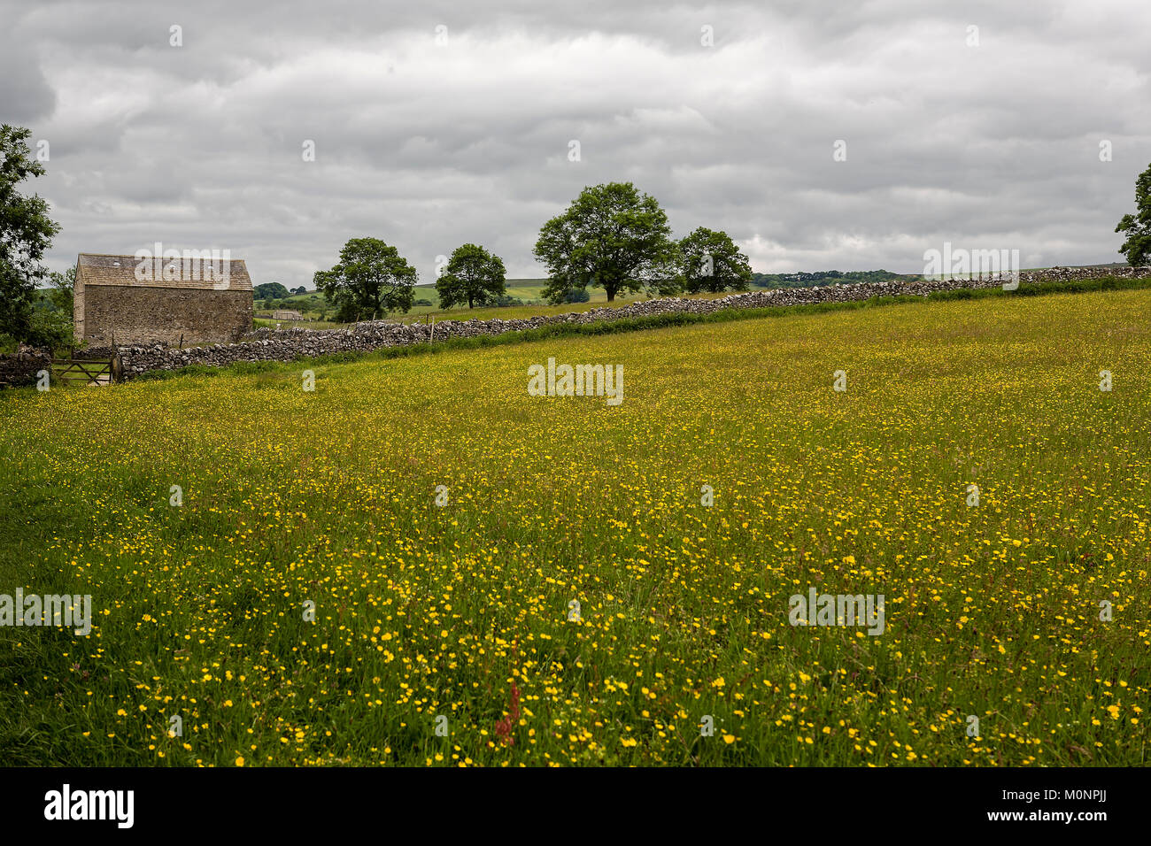 Neue Laithe, eine Scheune in Gordale in der Nähe von Malham, North Yorkshire, England, Großbritannien Stockfoto