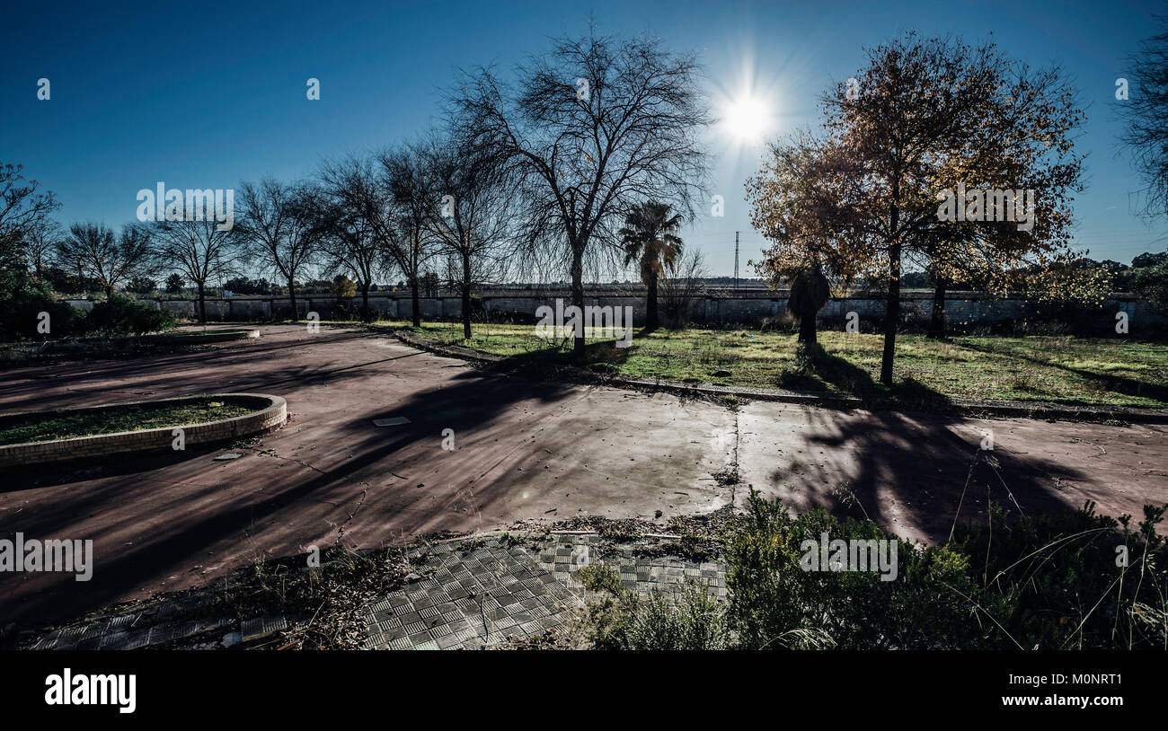 Sonnenstrahlen zwischen den Bäumen Stockfoto