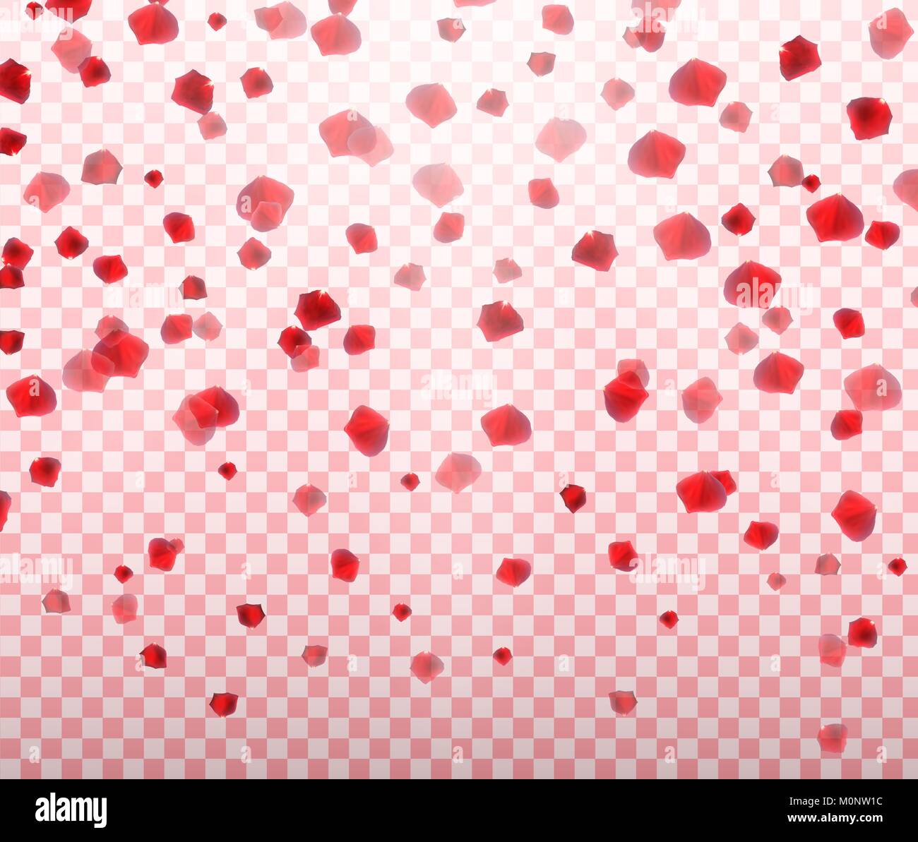 Naturalistische Bunte Fallende Rosenblatter Auf Transparenten Hintergrund Vector Illustration Stock Vektorgrafik Alamy