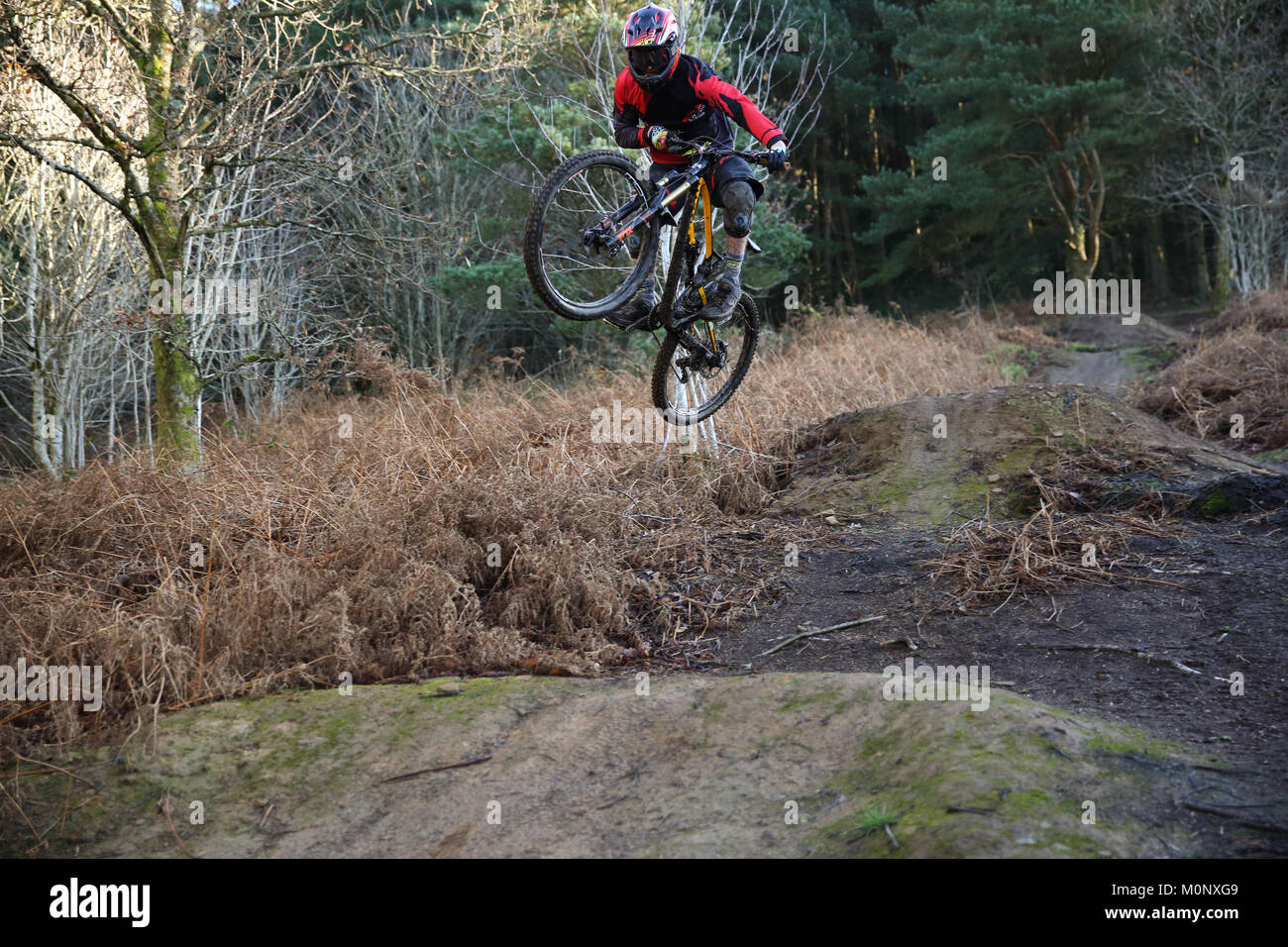 Mountainbiken, Pontypridd, Wales Stockfoto