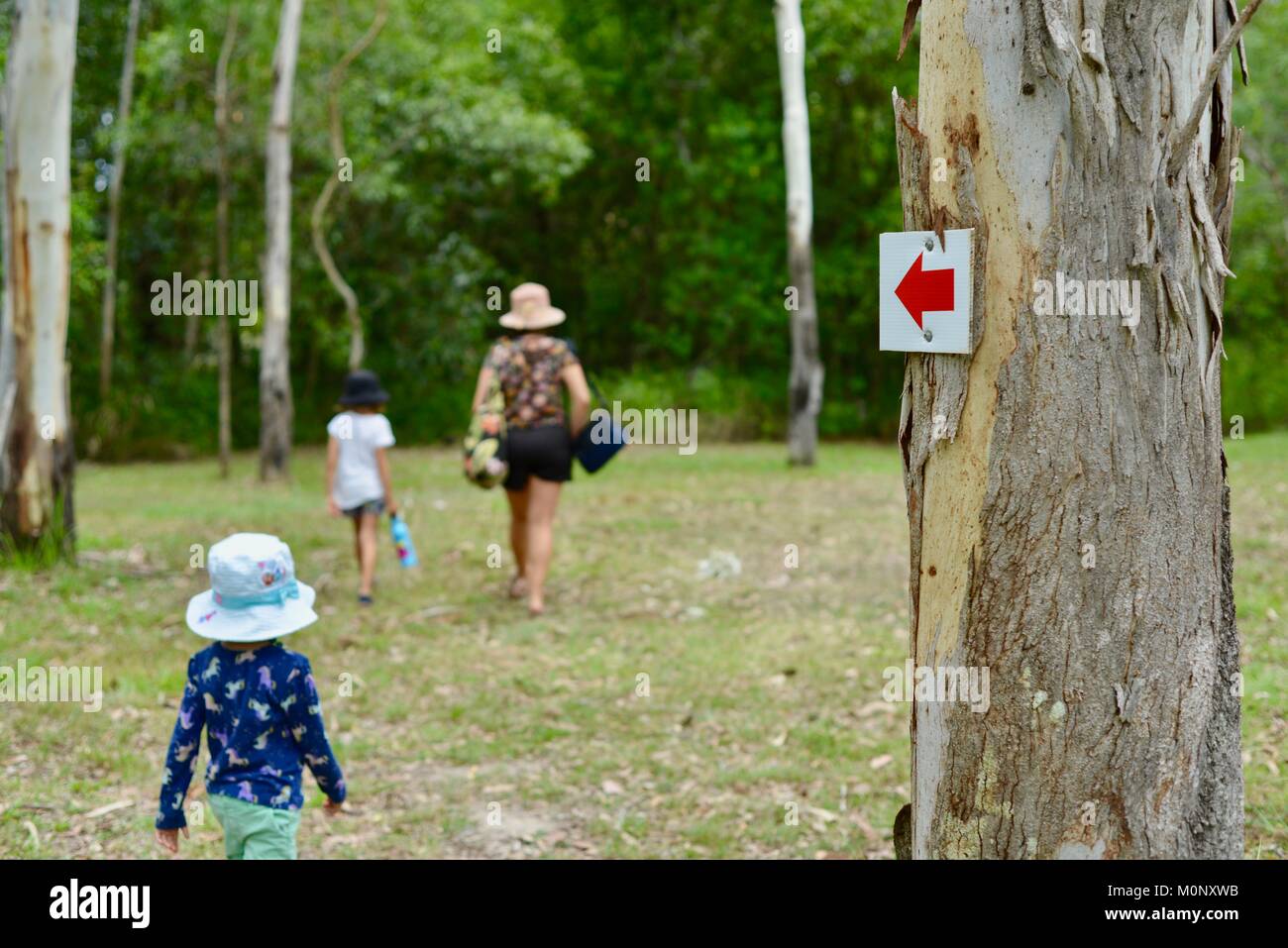 Frauen und Kind wali durch Gras Feld im Wald mit einem kleinen Kind zurückgelassen, Herveys reichen Erbe Teestuben, Queensland, Australien Stockfoto