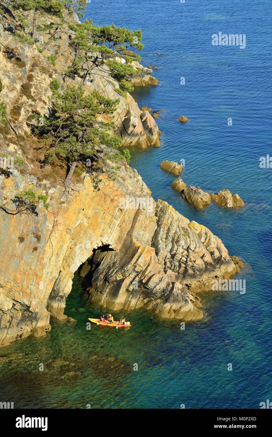 Frankreich, Finistere, Iroise, Parc Naturel Regional d'Armorique (Armorica Regionaler Naturpark), Presqu'ile de Crozon, Morgat, Spaziergang entlang des GR34 auf der Halbinsel Crozon, Cap de la Chèvre coastal path Stockfoto