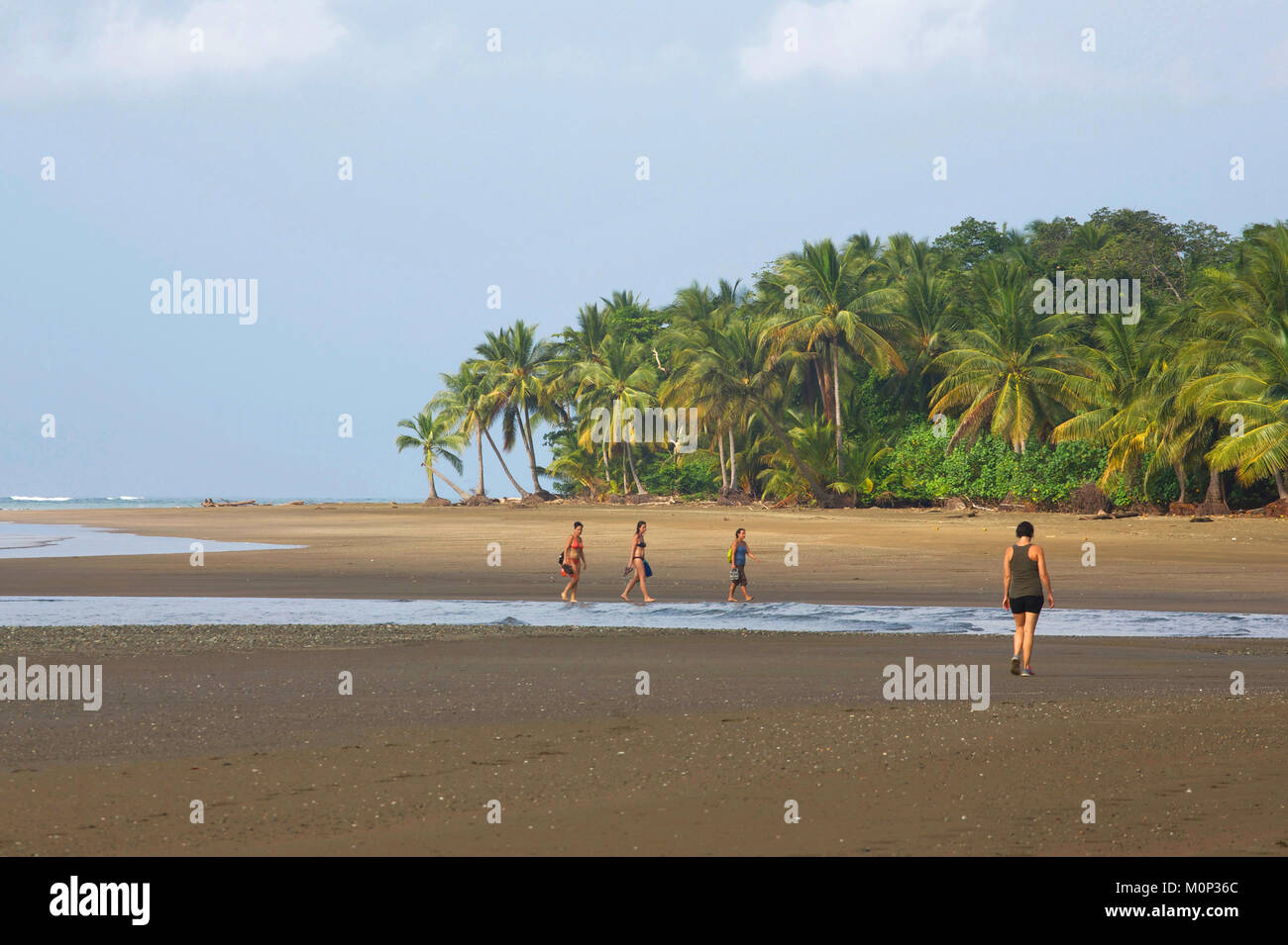Costa Rica, Halbinsel Osa, Frauen zu Fuß auf einem braunen Sand Strand mit Kokospalmen gesäumt Stockfoto Costa Rica, Halbinsel Osa, Frauen zu Fuß auf einem braunen Sand Strand mit Kokospalmen gesäumt Stockfoto